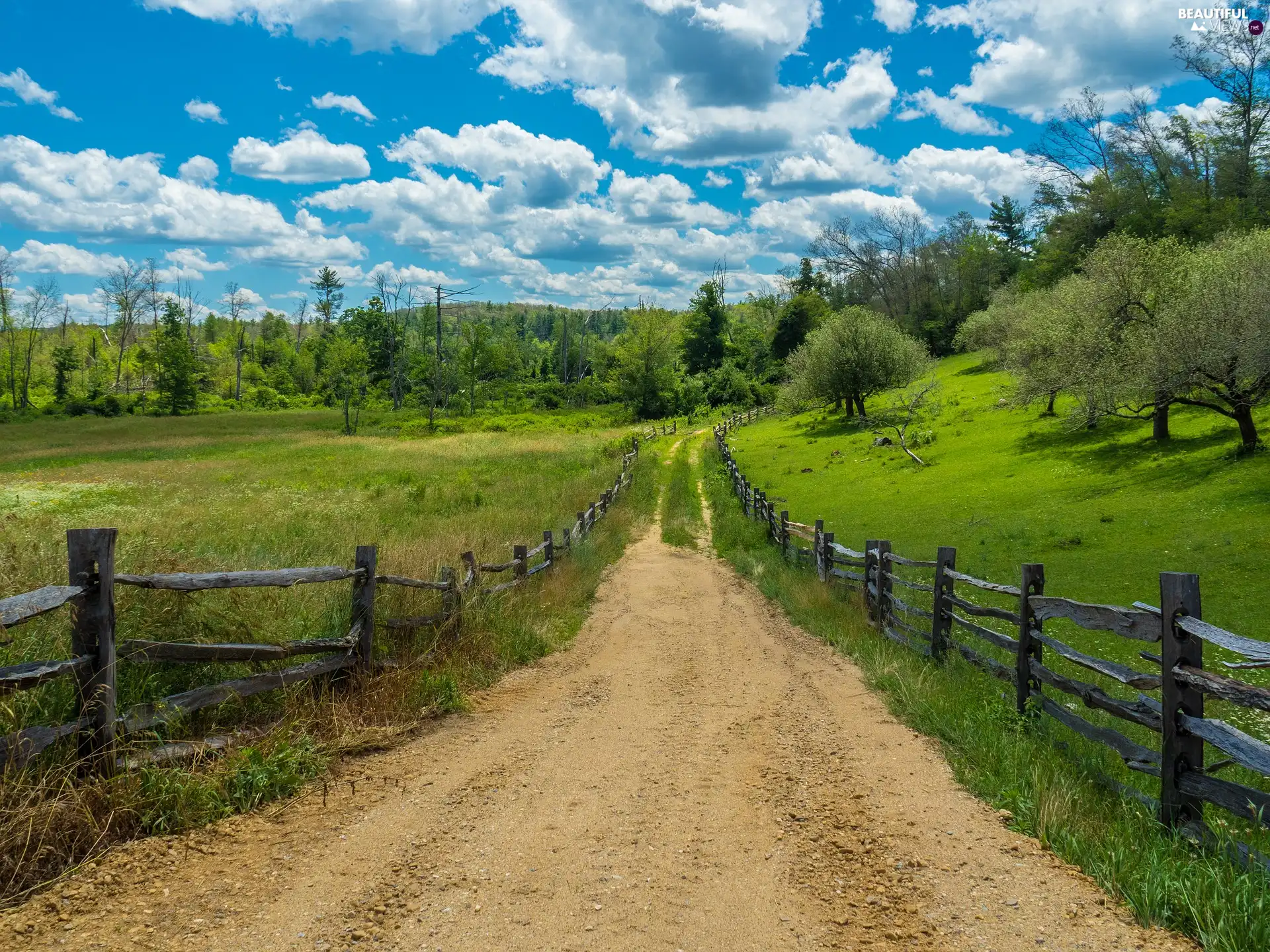 Hill, Way, viewes, fence, trees, Meadow