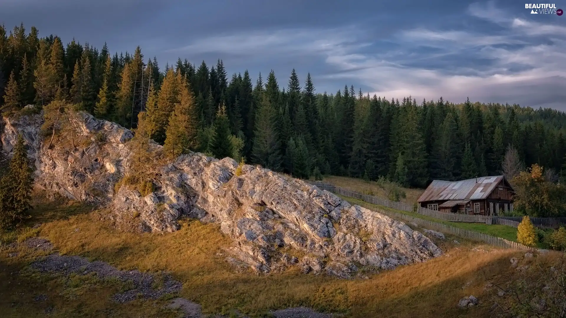 trees, forest, house, fence, viewes, Rocks