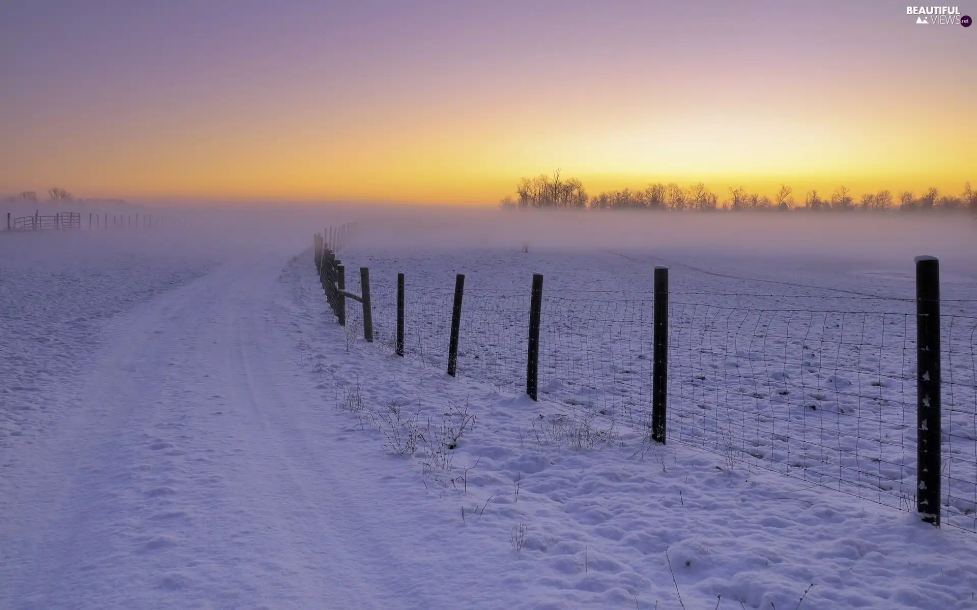 fence, Sunrise, snow, Way, Field
