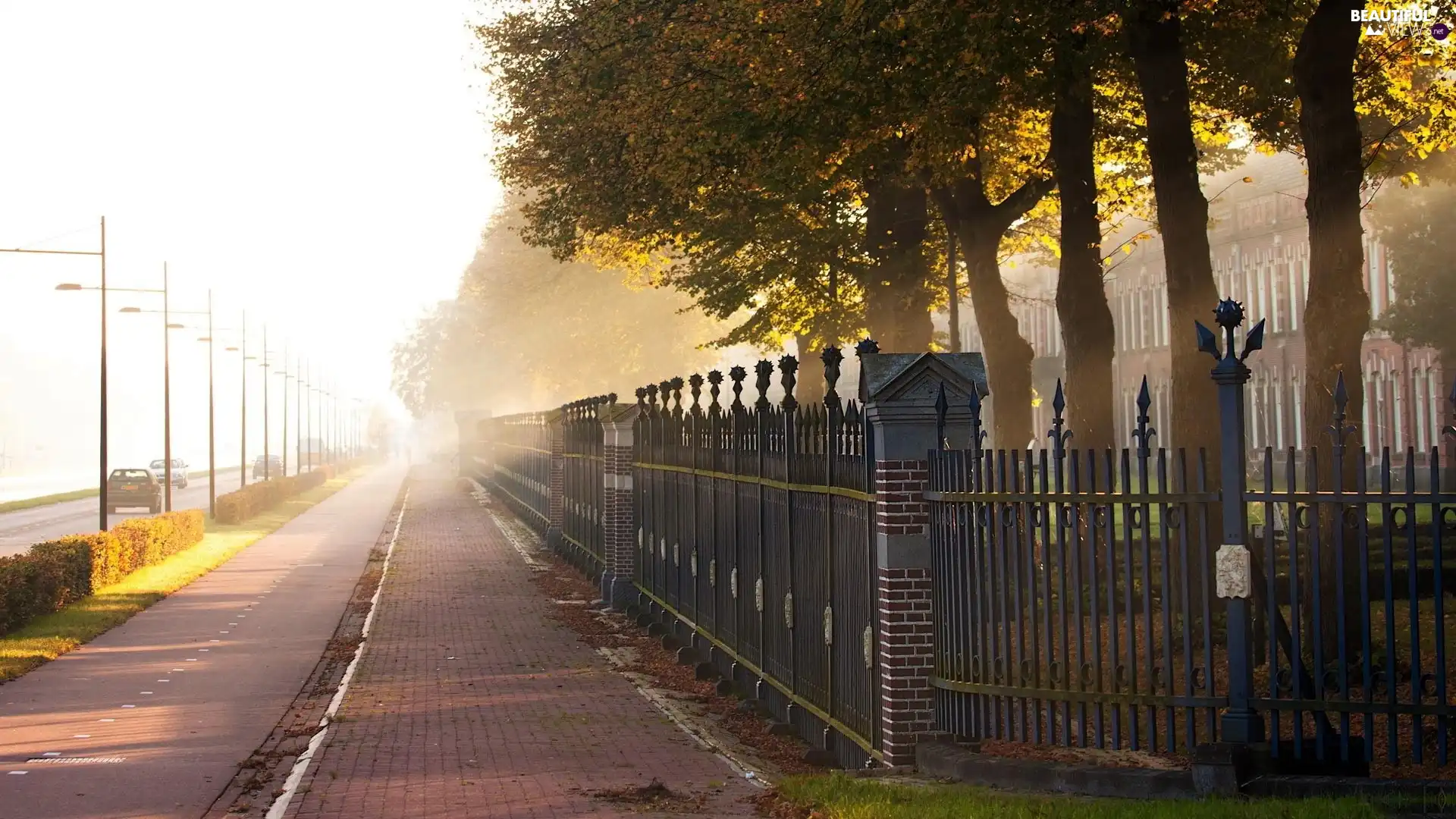 Way, fence