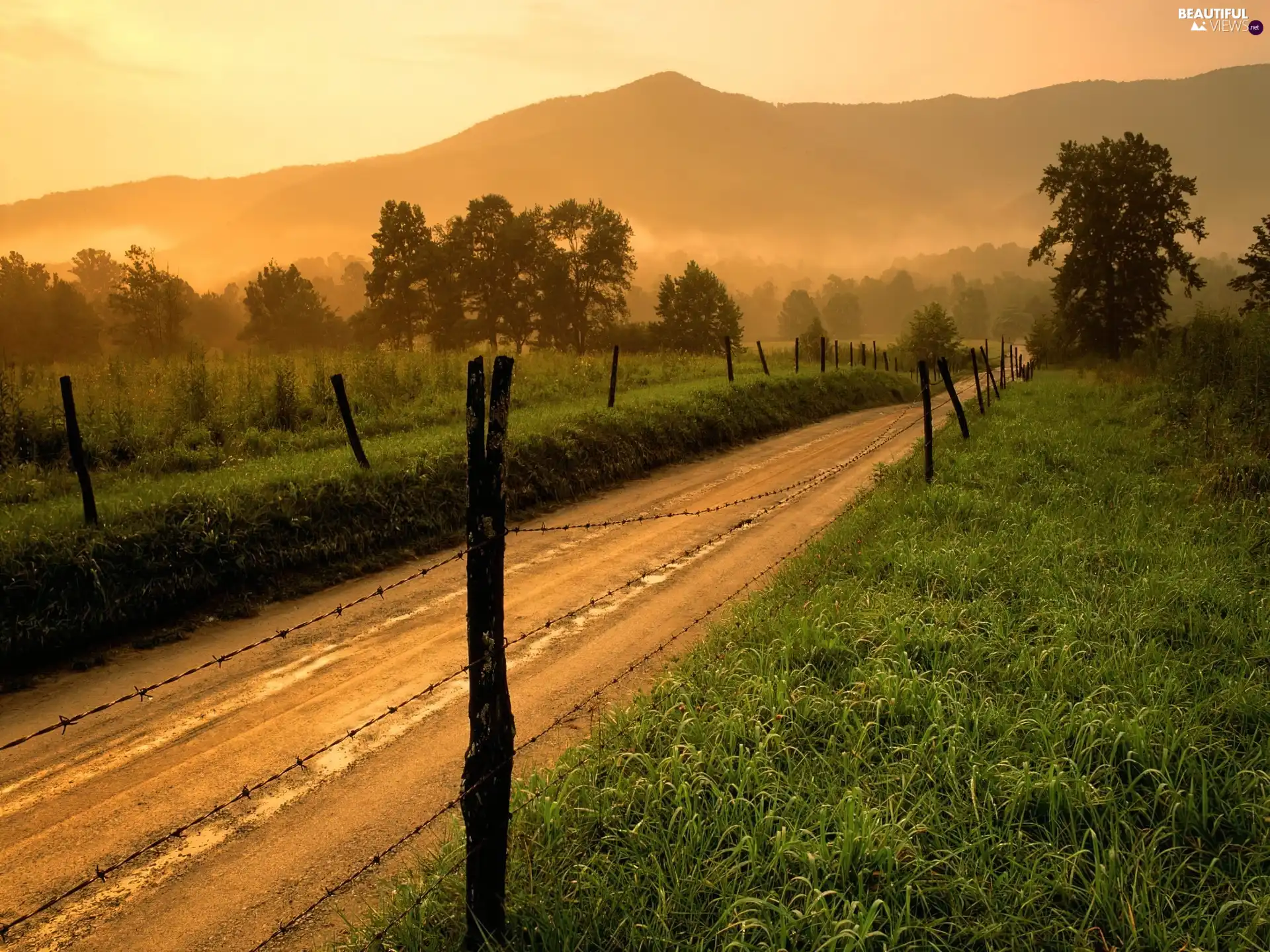 Fences, Way, viewes, The Hills, trees, spiky