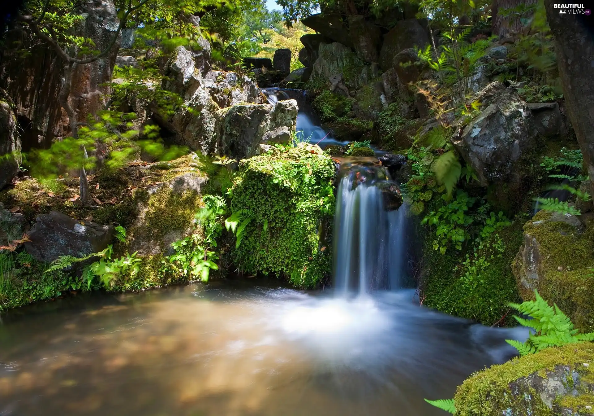 forest, boulders, fern, waterfall