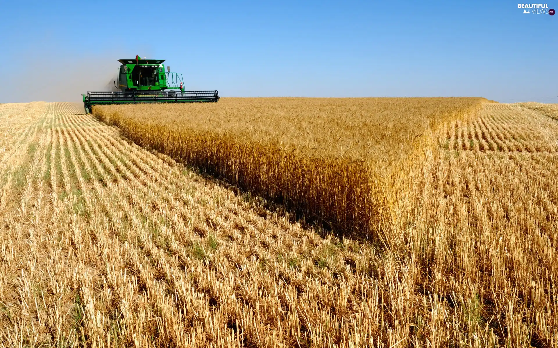 cereals, combine-harvester, Field