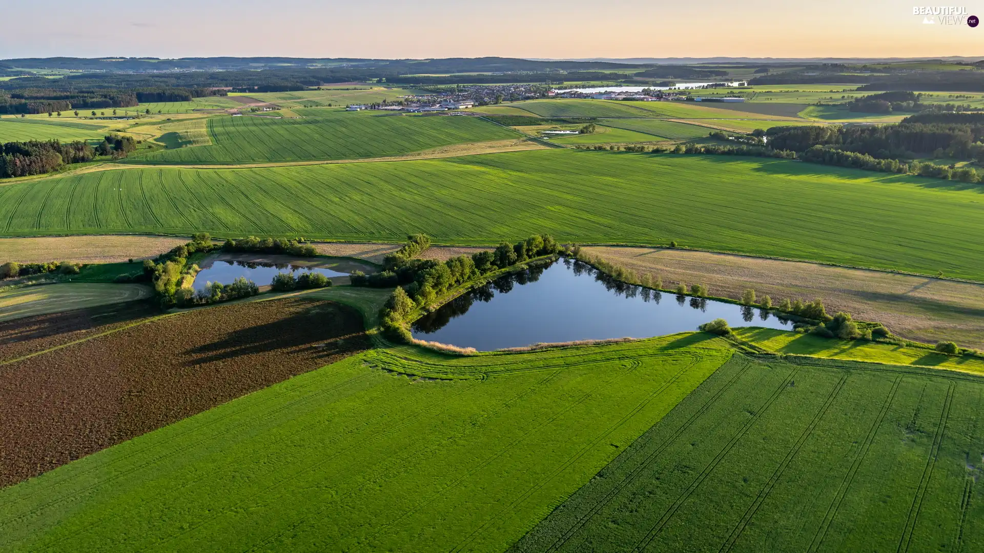 field, lakes