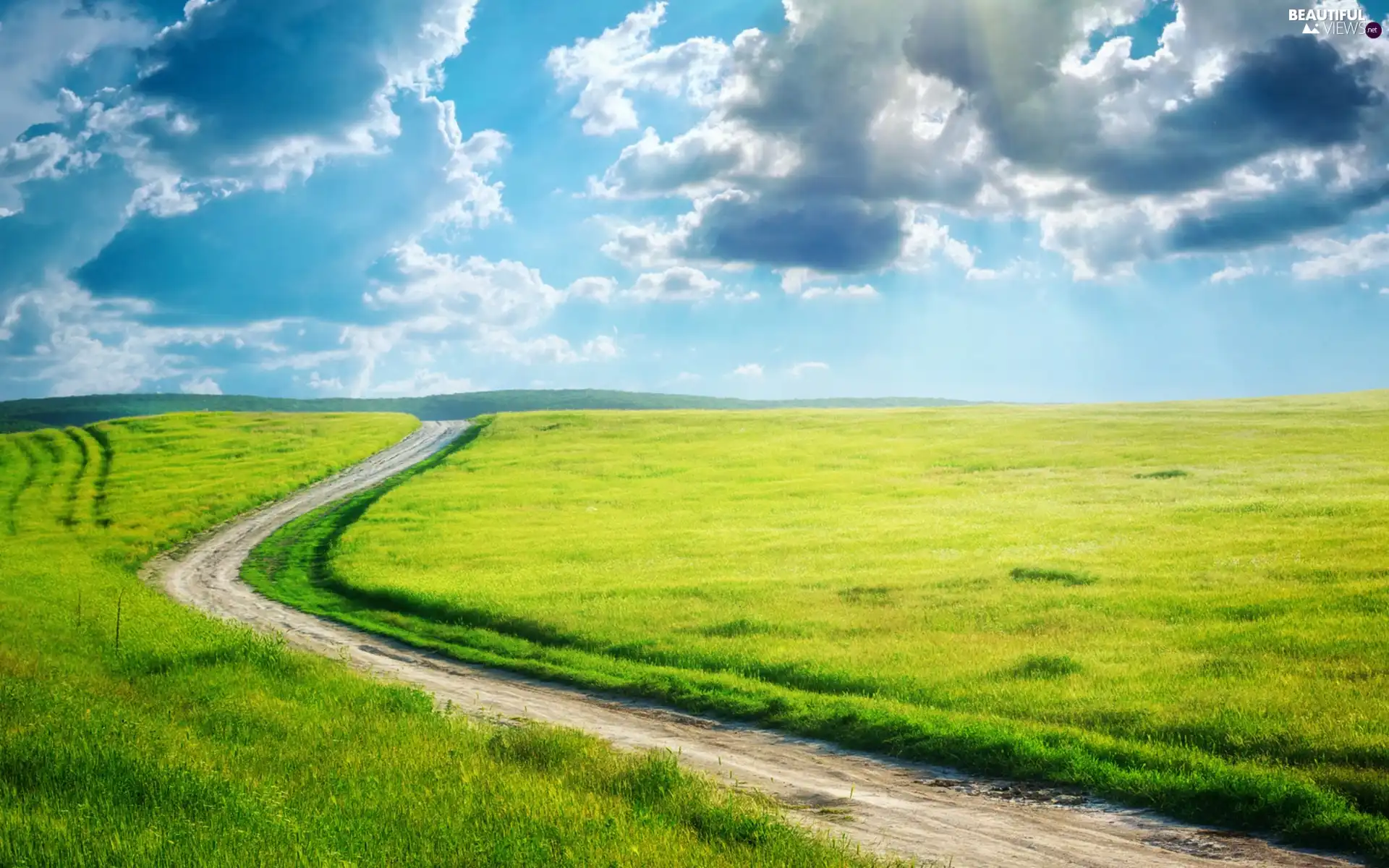 summer, Way, Field, Meadow