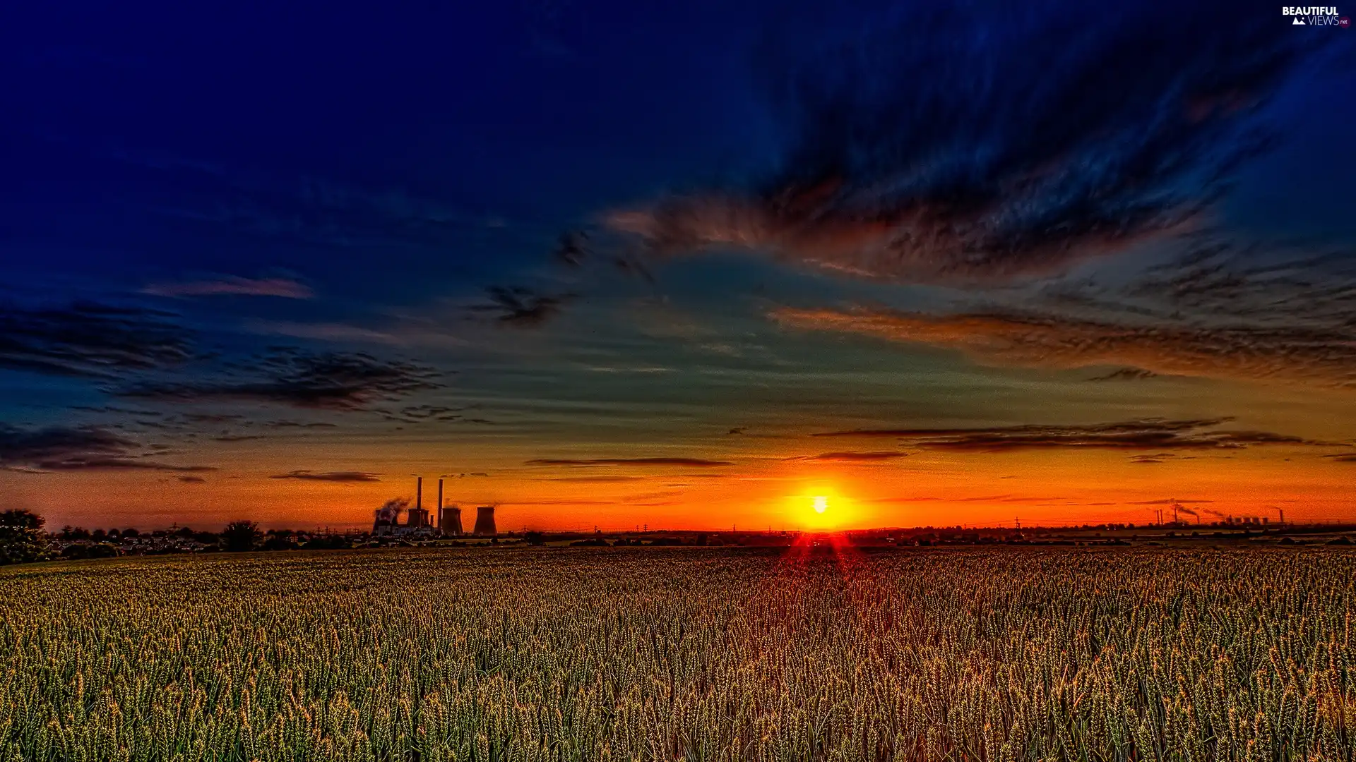 Field, west, sun