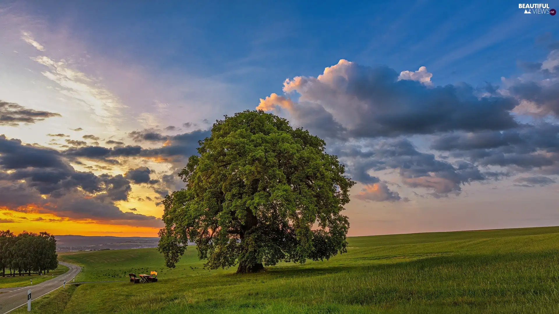 Great Sunsets, trees, Field, bench, clouds, oak