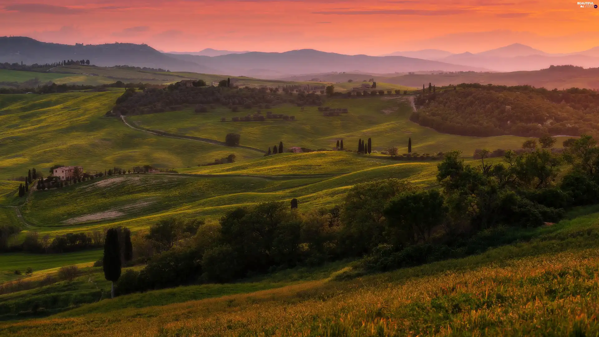 field, trees, Fog, viewes, Great Sunsets, Tuscany, Italy, cypresses