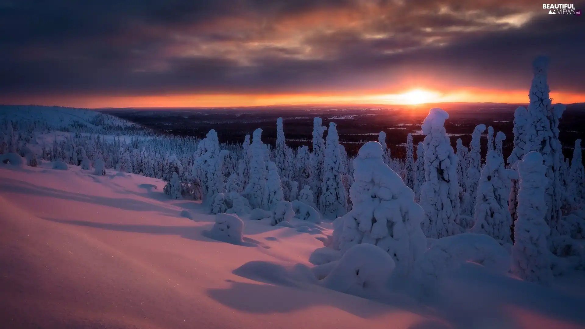 winter, Sallatunturit Hill, viewes, Great Sunsets, trees, Finland