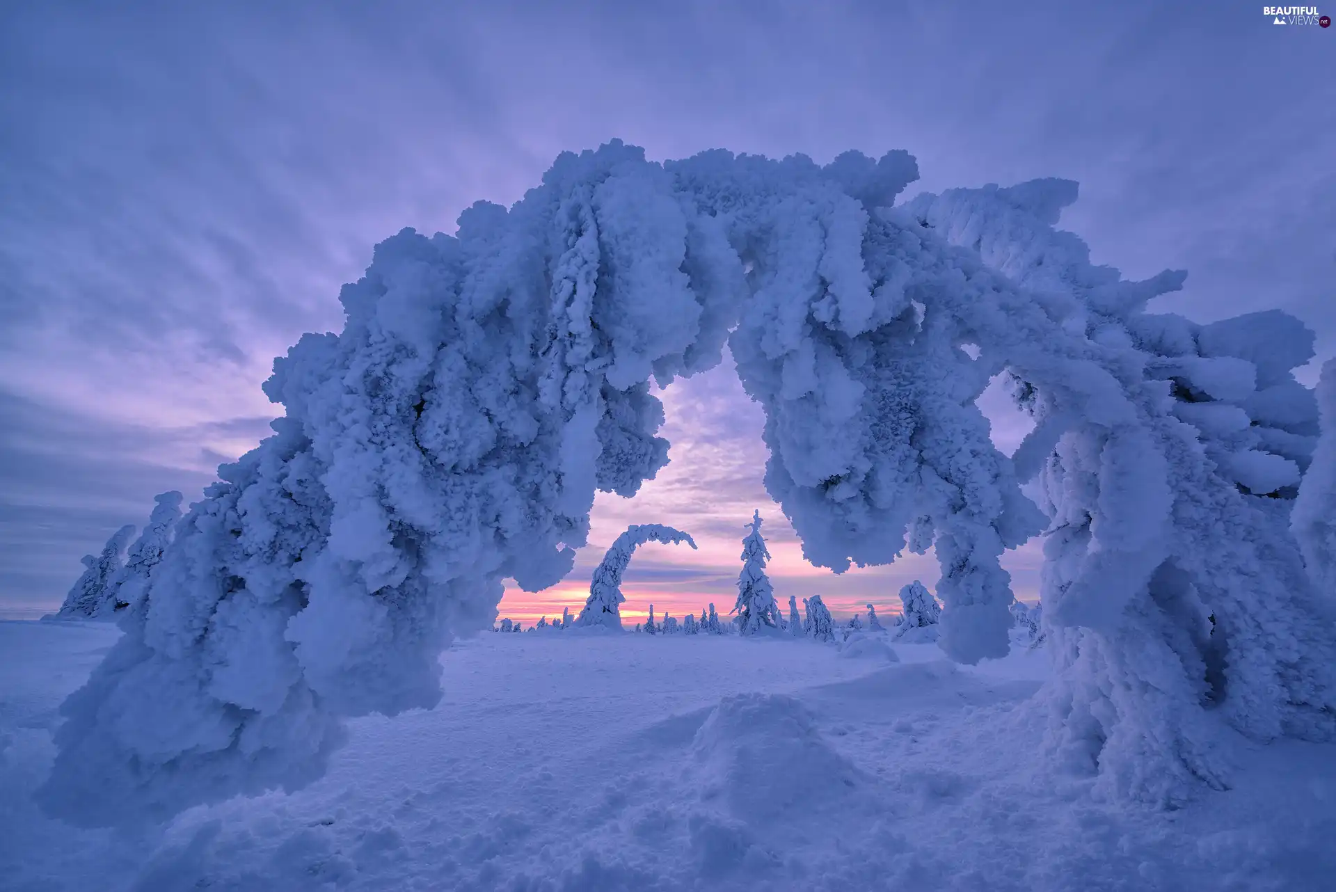viewes, winter, Lapland, Finland, Great Sunsets, trees