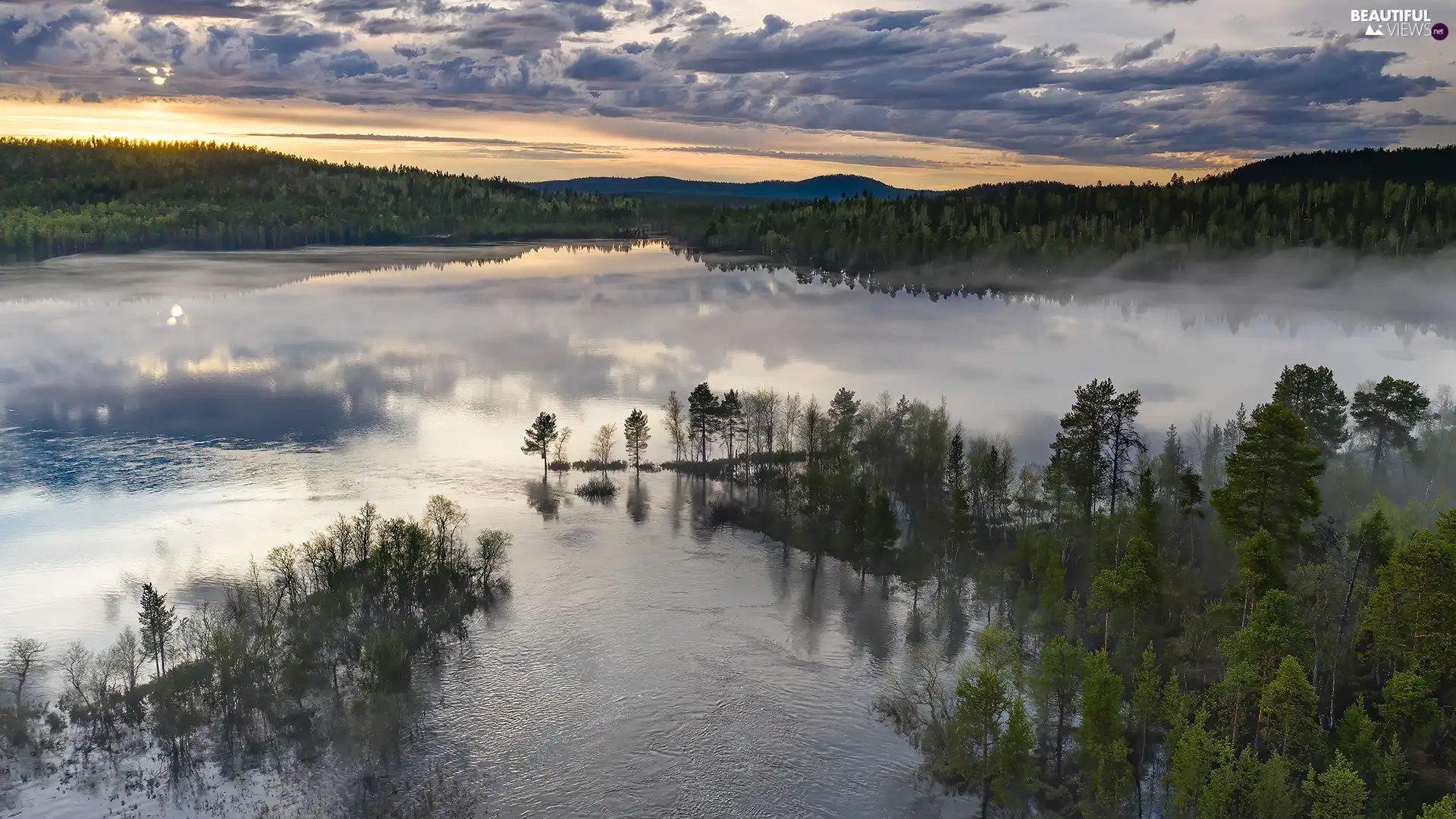 viewes, woods, Lapland, trees, Inari Lake, Fog, Finland
