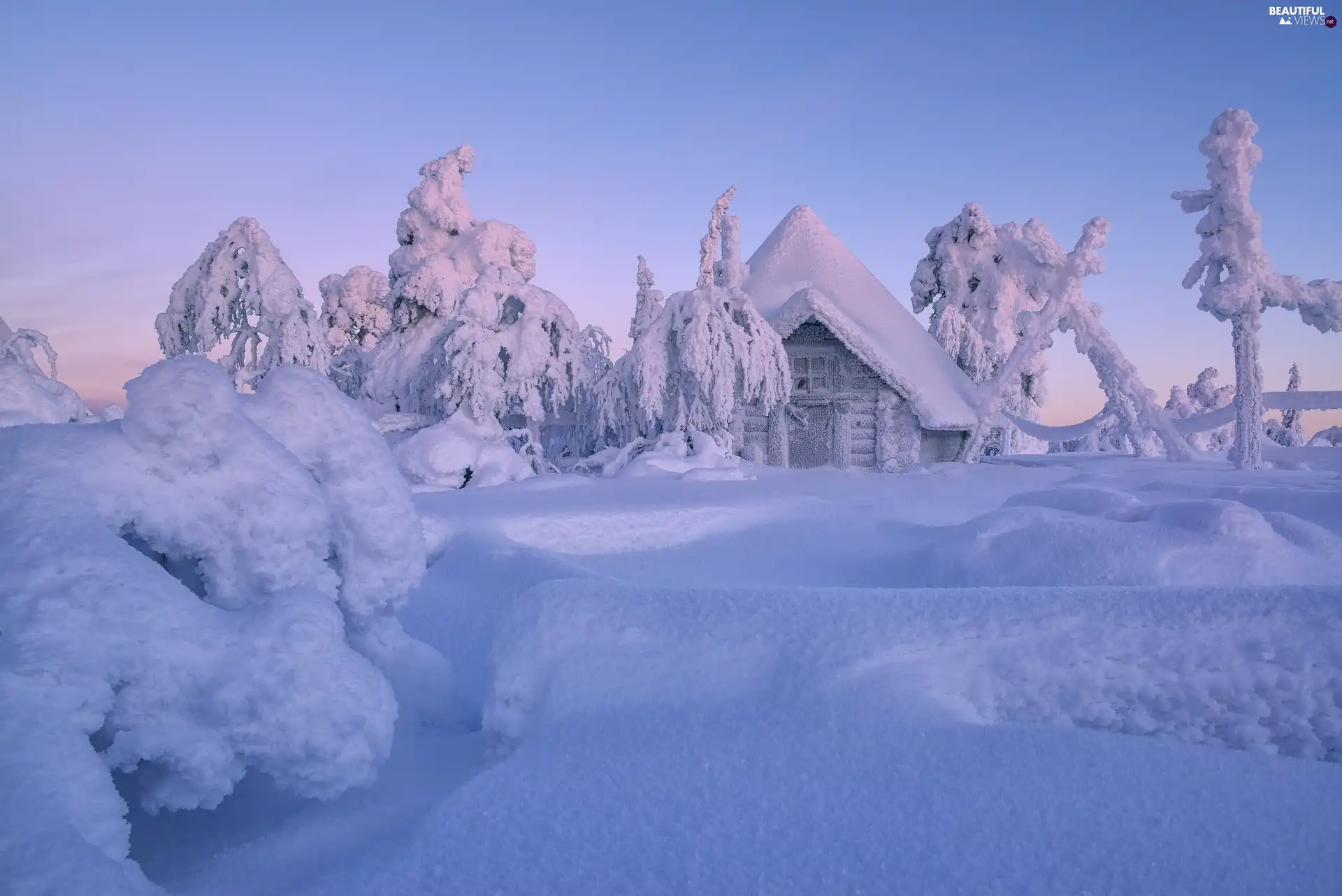 viewes, winter, Lapland, Finland, house, trees