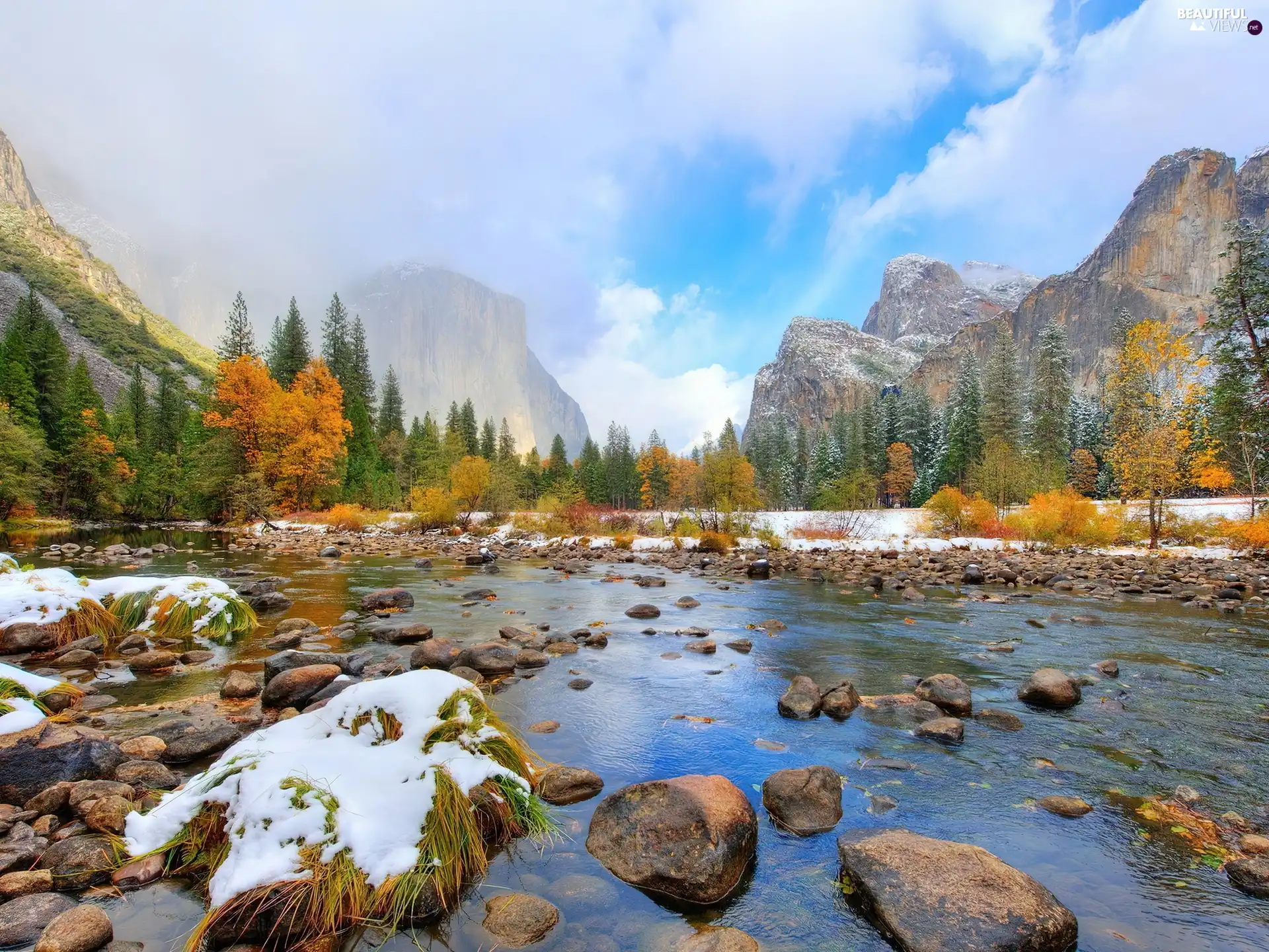 first, snow, forest, River, Mountains