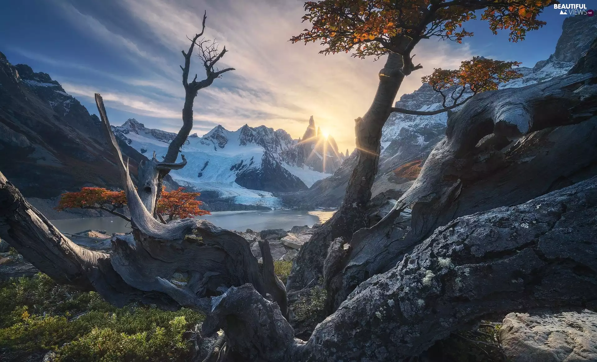 Patagonia, Argentina, mountains, Fitz Roy, branches, rocks, trees, viewes, rays of the Sun