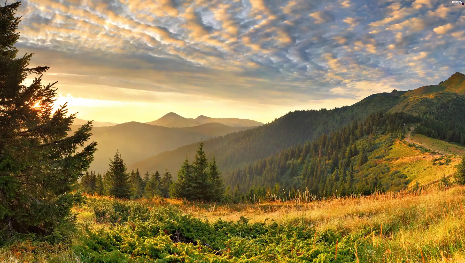 ligh, Mountains, flash, luminosity, sun, woods