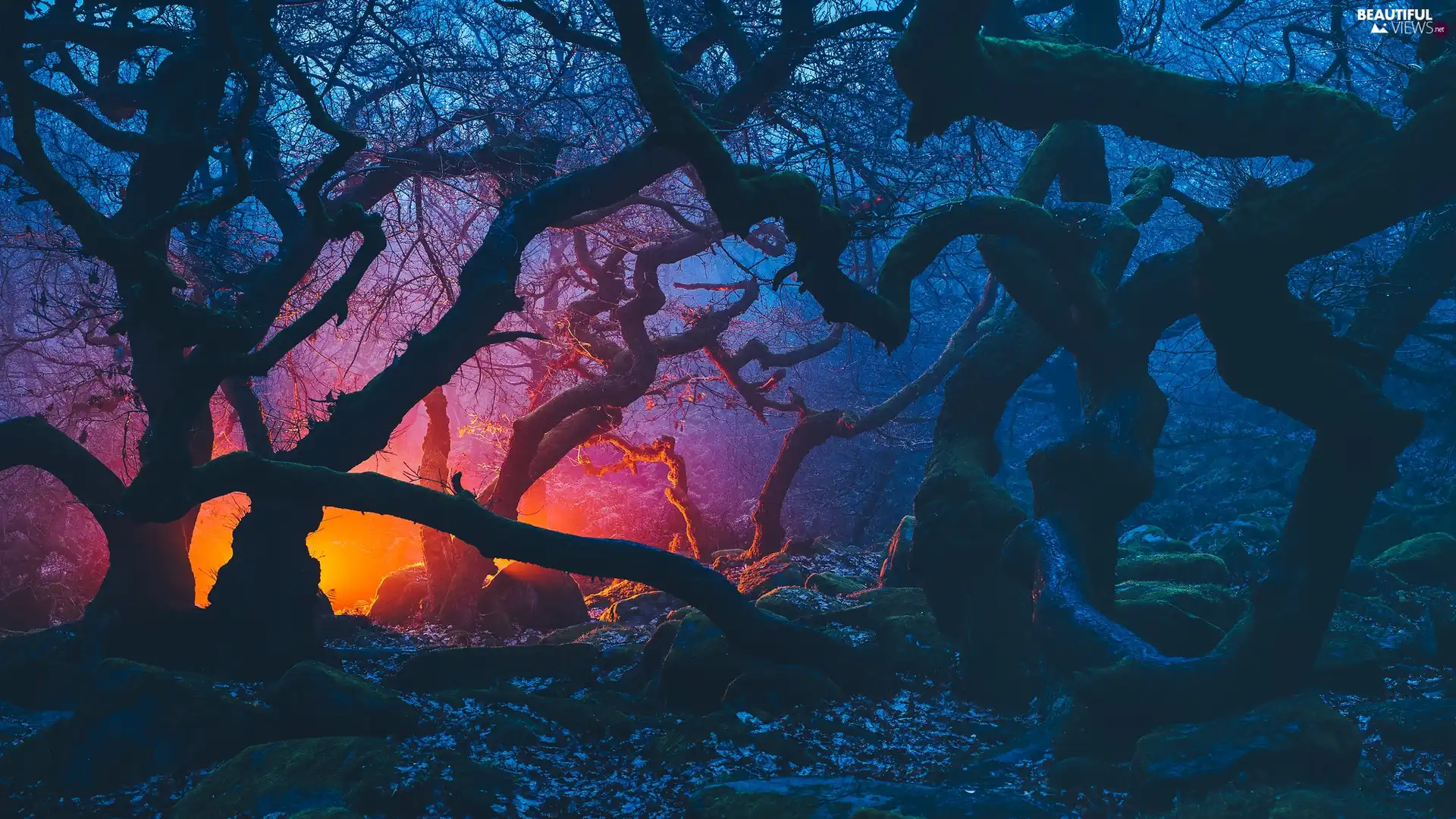 ligh, Derbyshire, forest, flash, trees, England, Peak District National Park, luminosity, sun, viewes