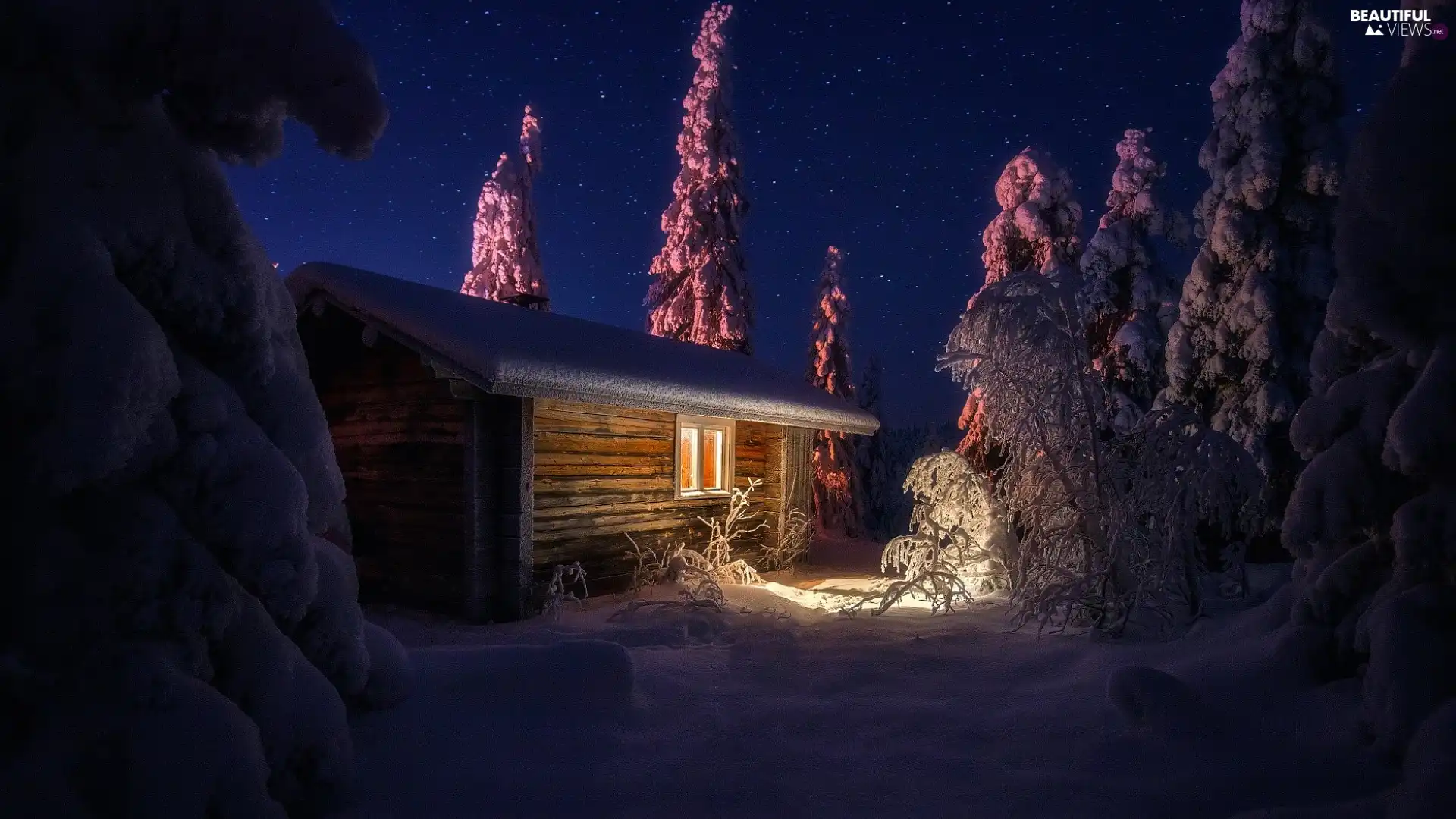 Snowy, trees, Home, viewes, wooden, Night, winter, Floodlit