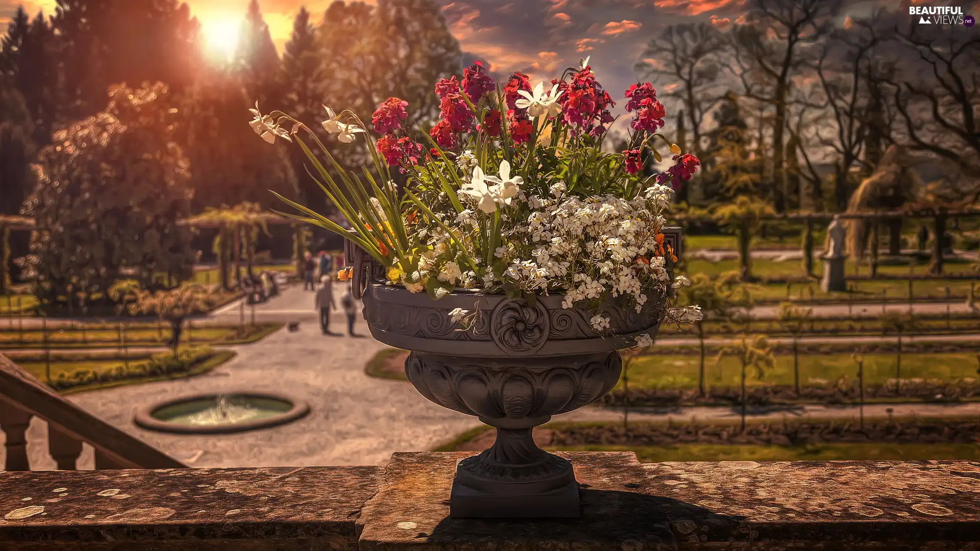 Flowers, Park, bowl