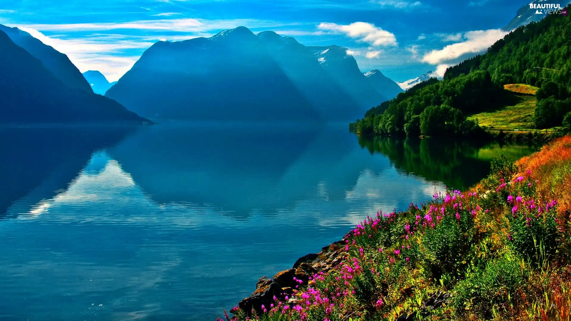 Flowers, Mountains, lake