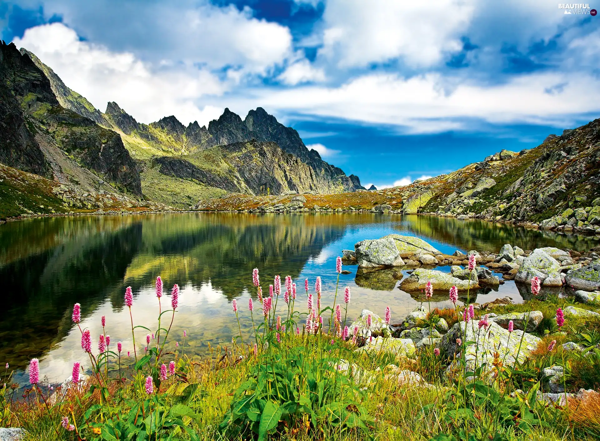 lake, Stones, Flowers, Mountains