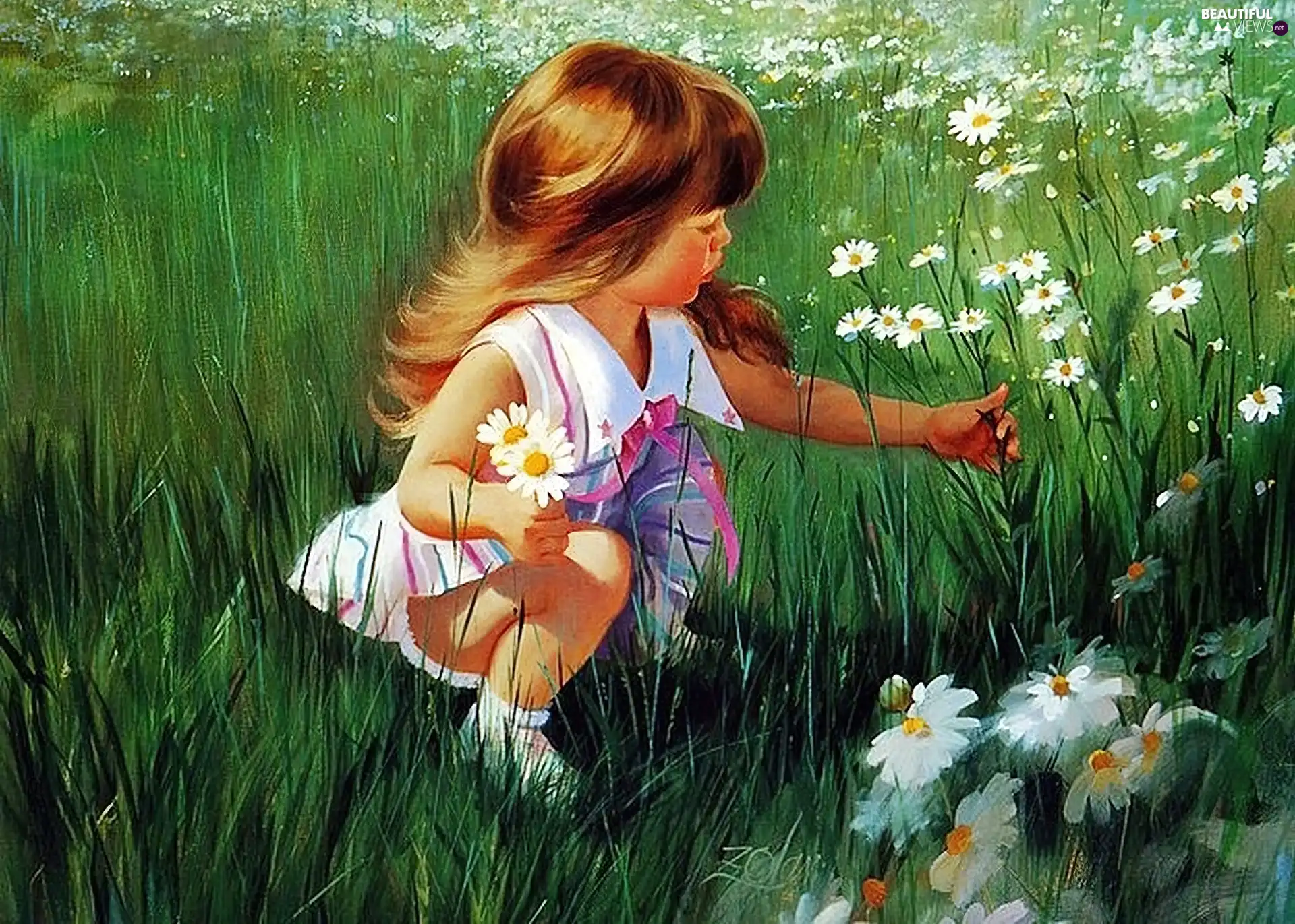 Flowers, girl, Meadow