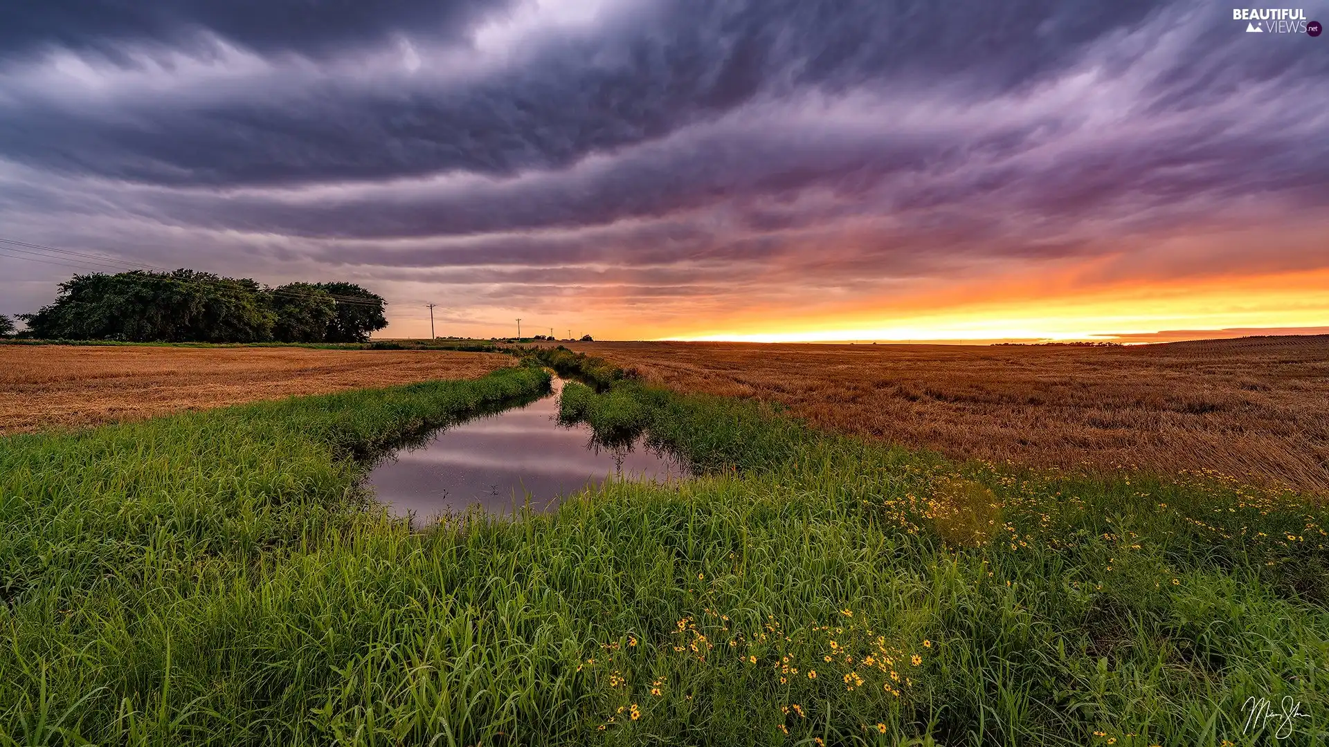 Flowers, Pond - car, Great Sunsets, grass, Meadow, Field, clouds