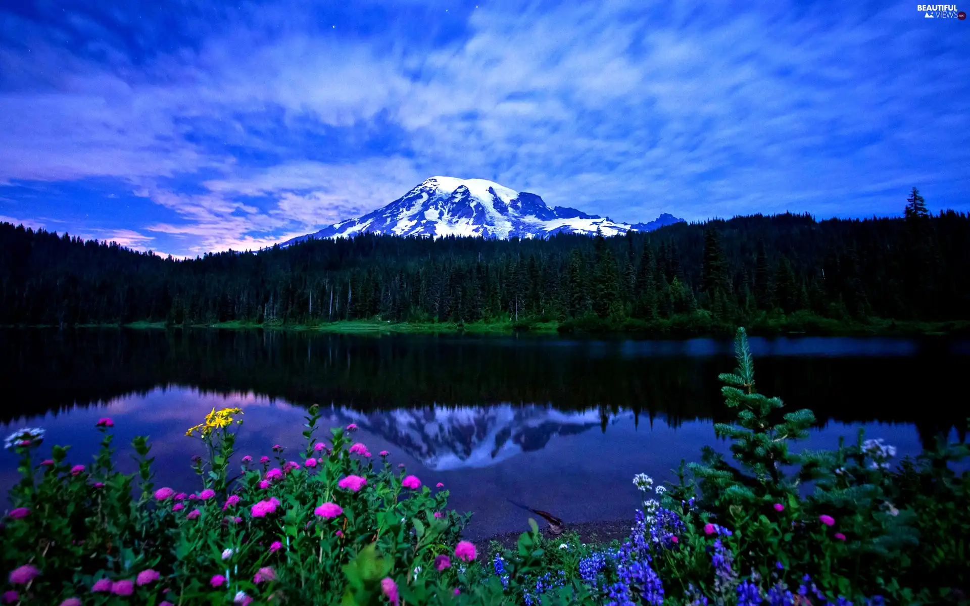 Mountains, lake, Flowers, forest
