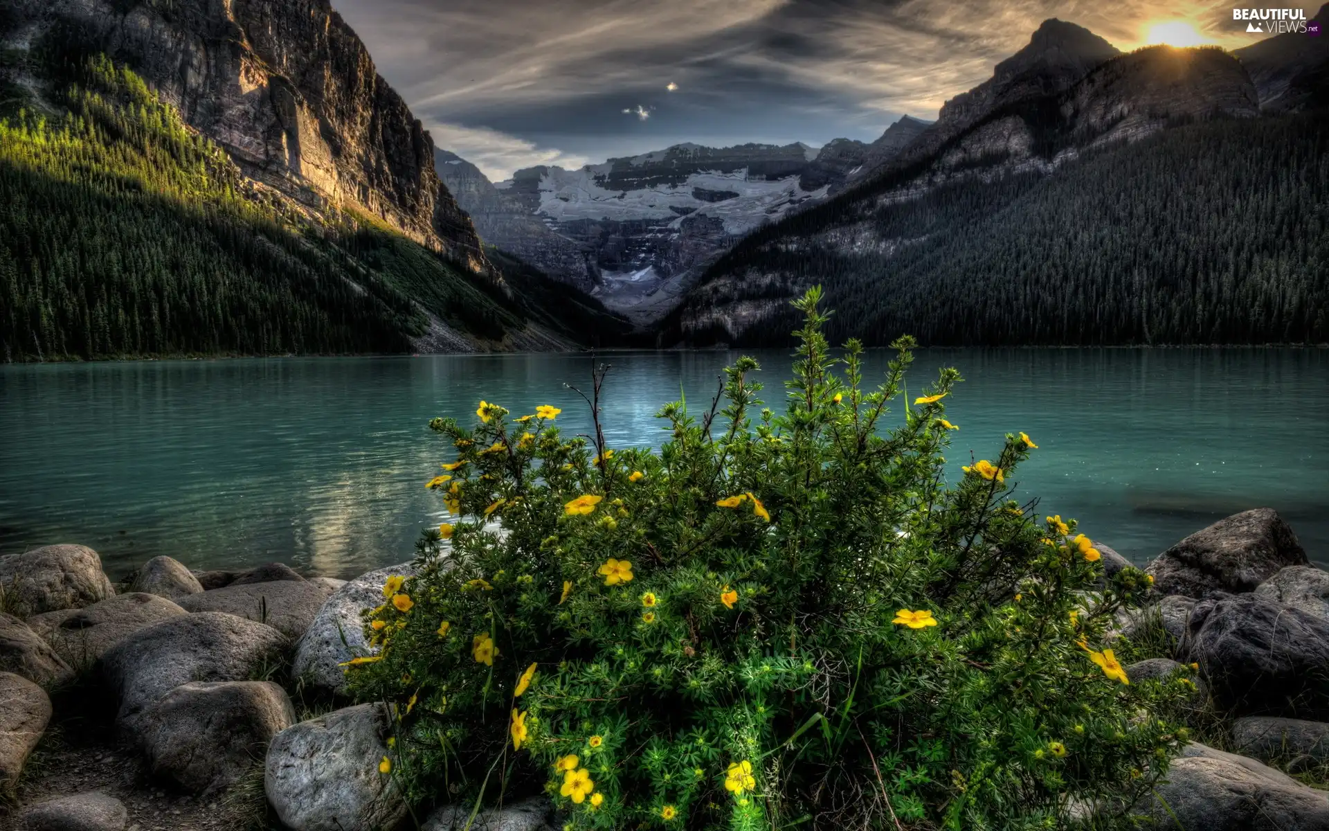 Mountains, Stones, Flowers, lake