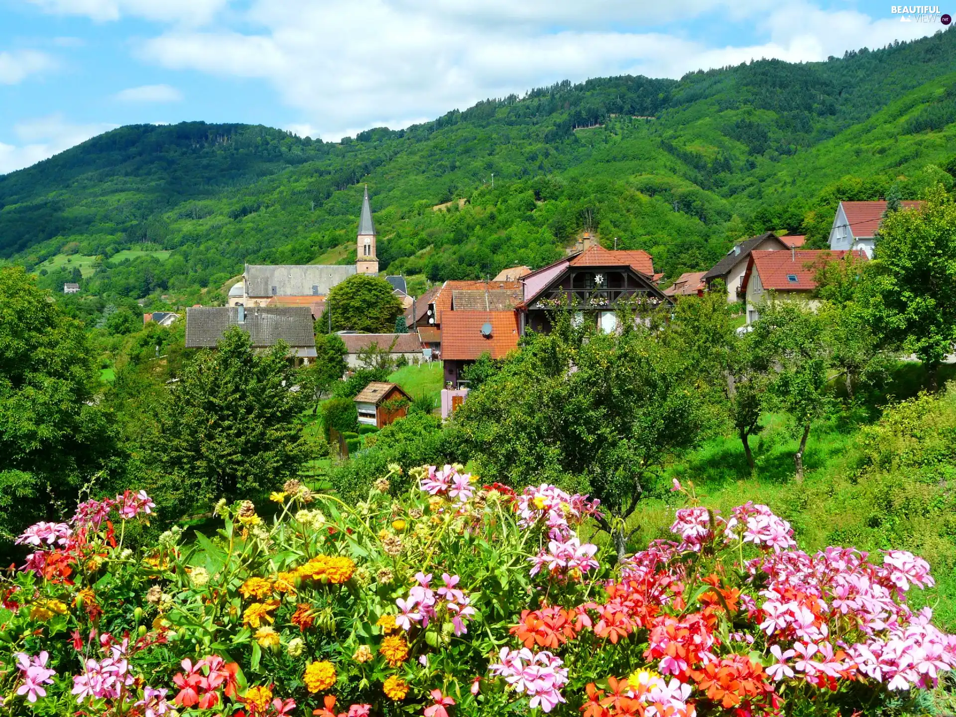 Flowers, Town, Mountains