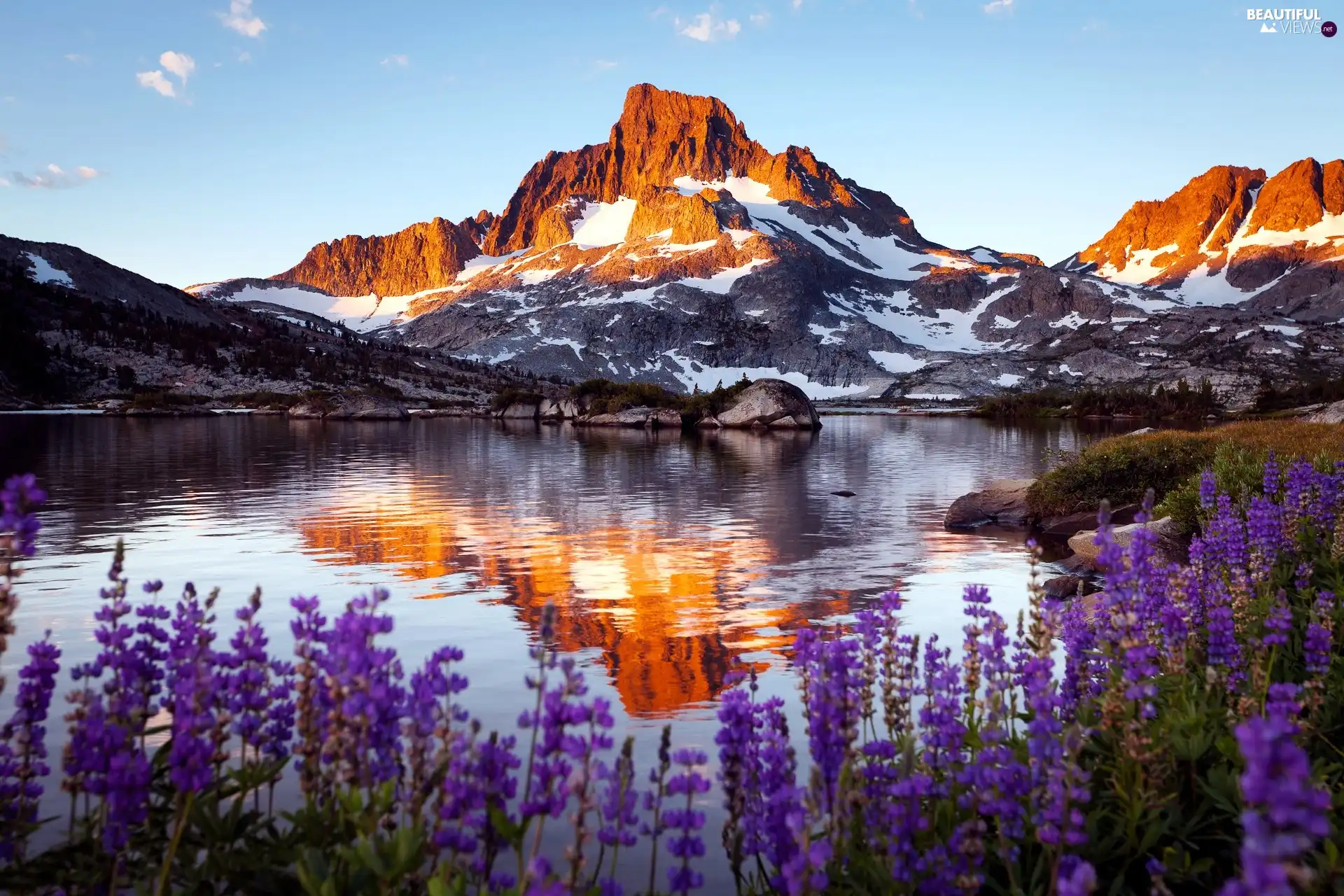 Mountains, water, Flowers, snow