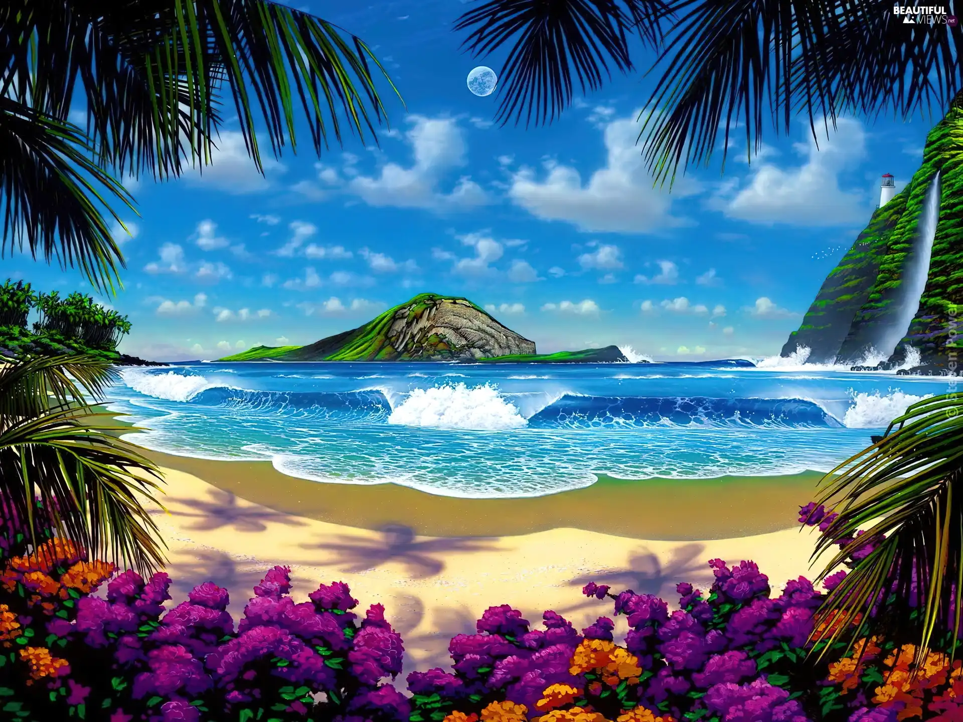 Flowers, Palms, Beaches, rocks, sea