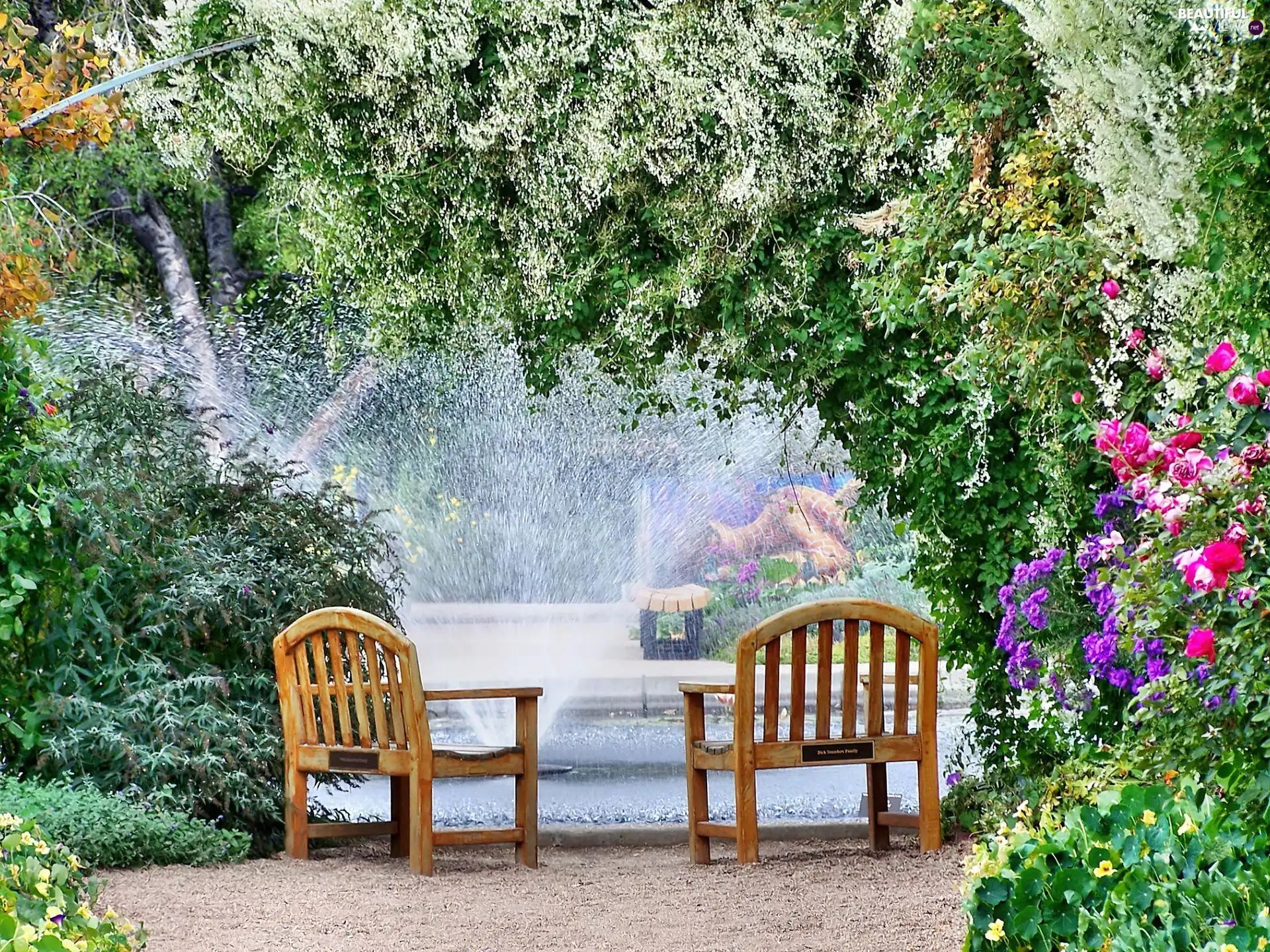 Park, green, Flowers, bench