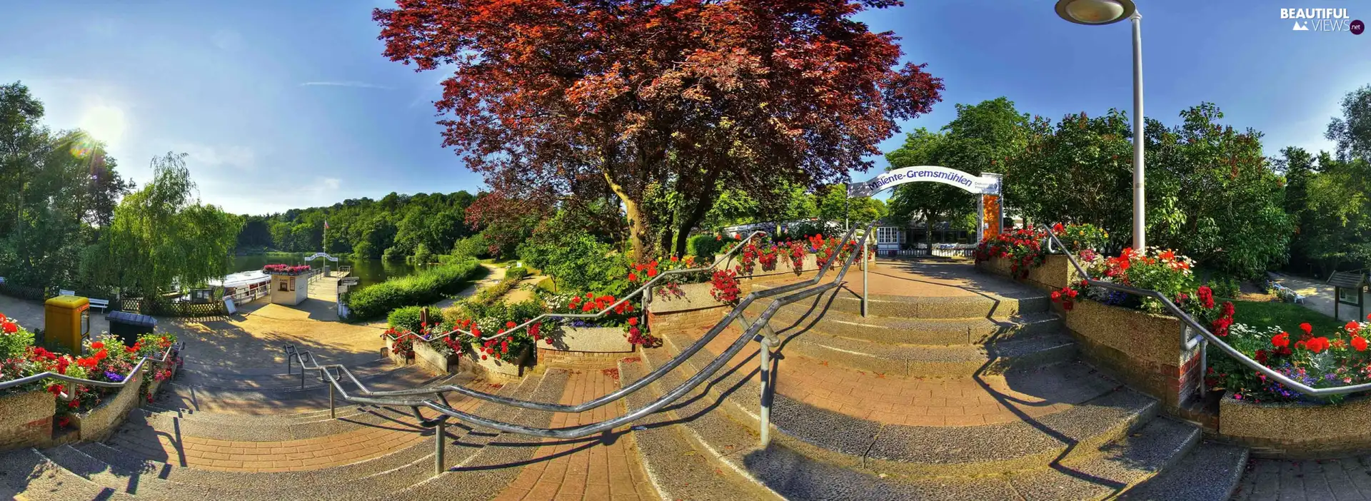 Park, viewes, Flowers, trees