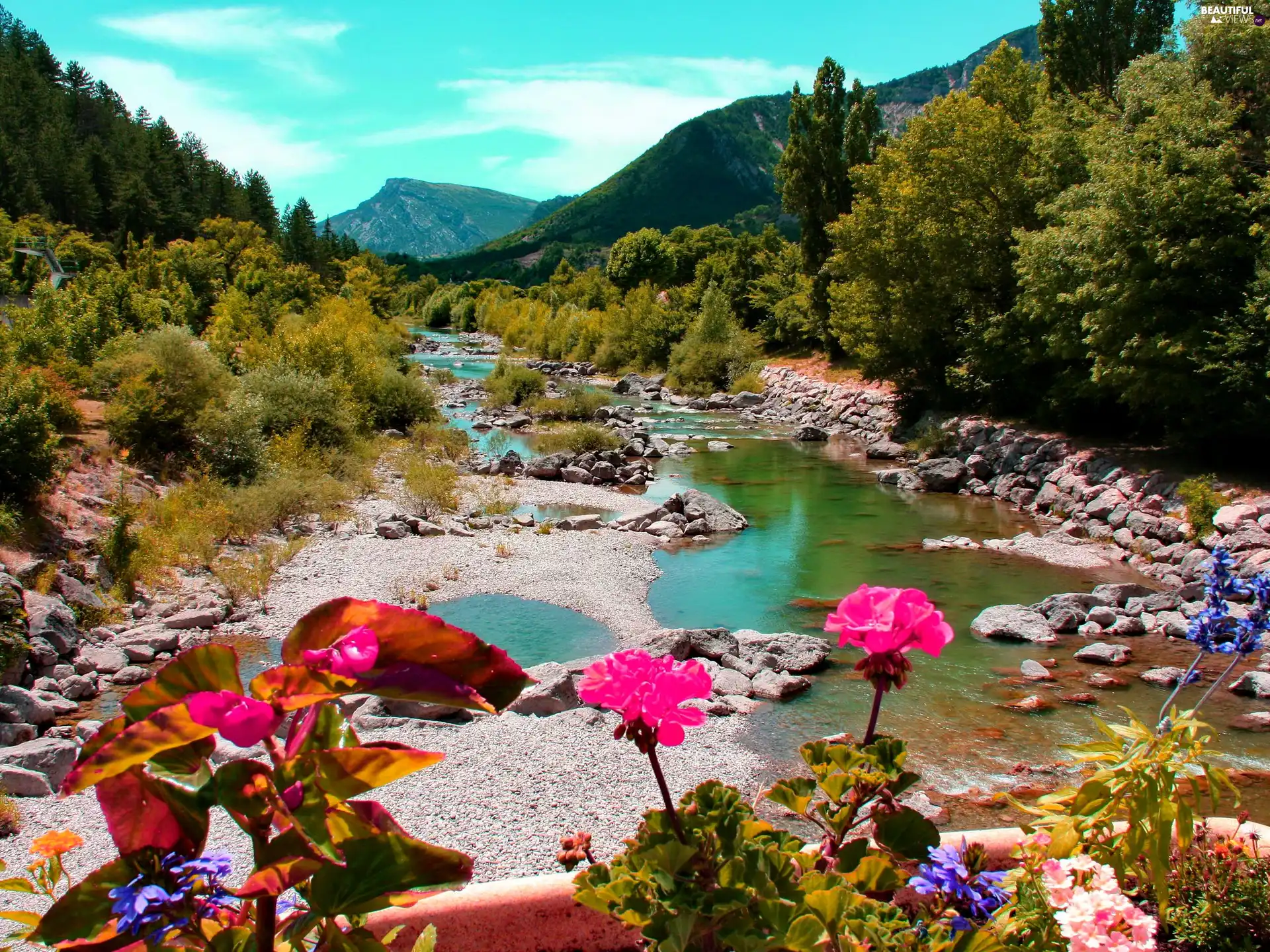 River, forest, Flowers, Mountains