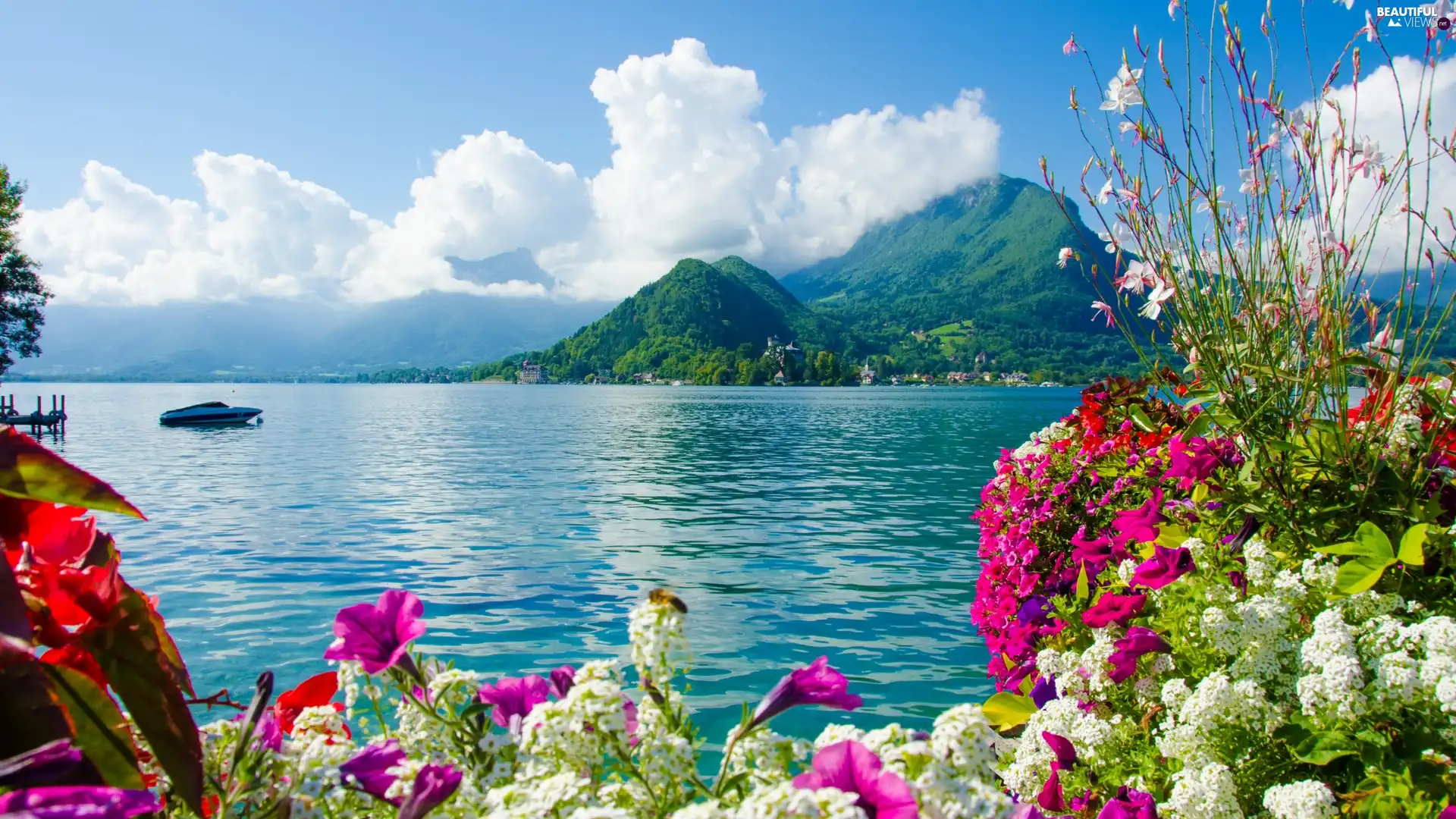sea, color, Flowers, Mountains