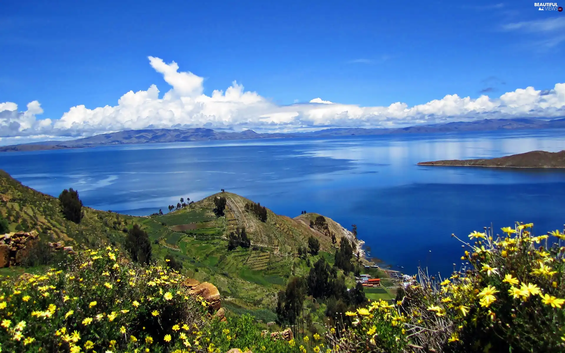 sea, Meadow, Flowers, Mountains