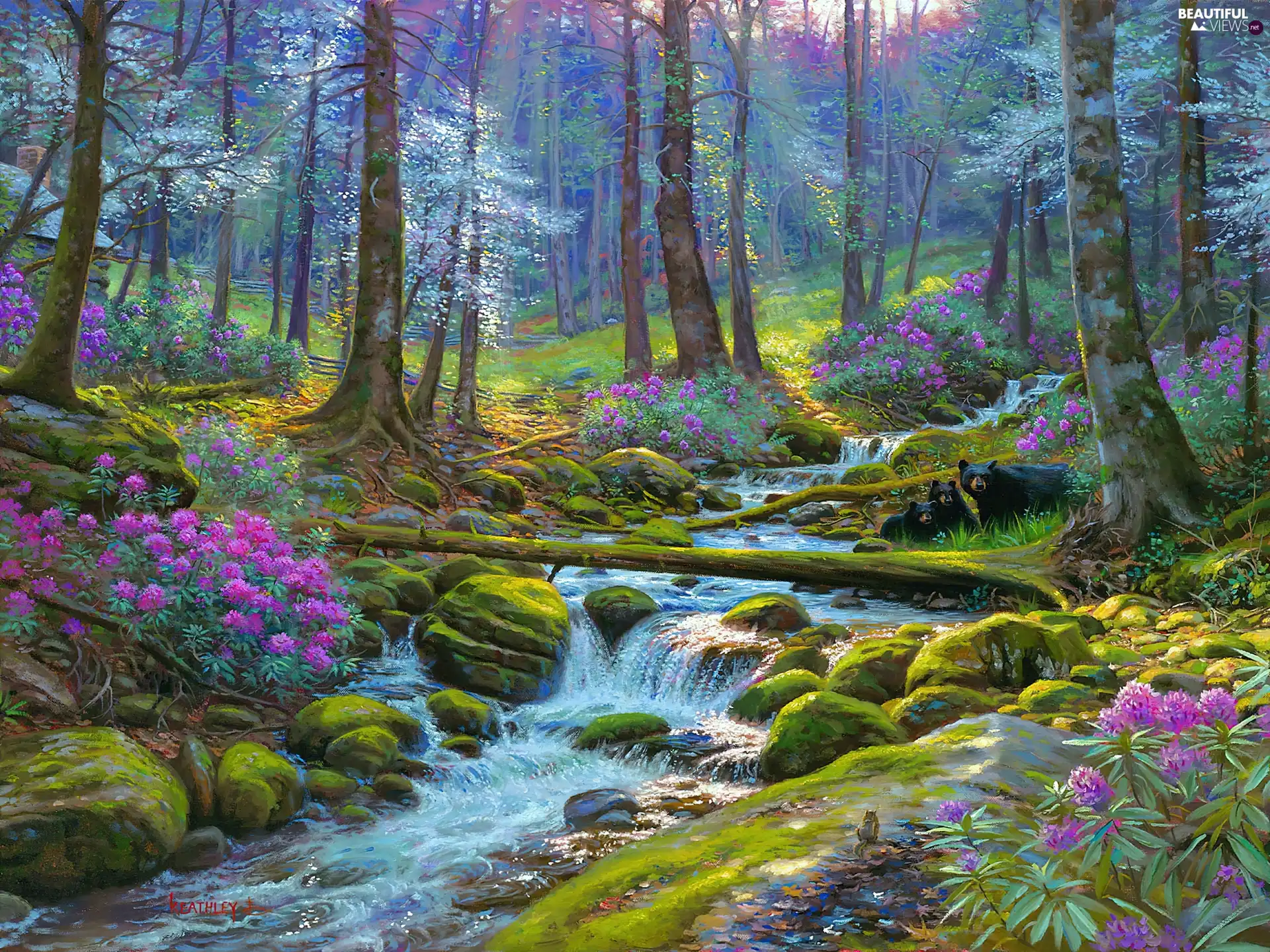 Flowers Stones River Stream Forest Beautiful Views Wallpapers 1920x1440