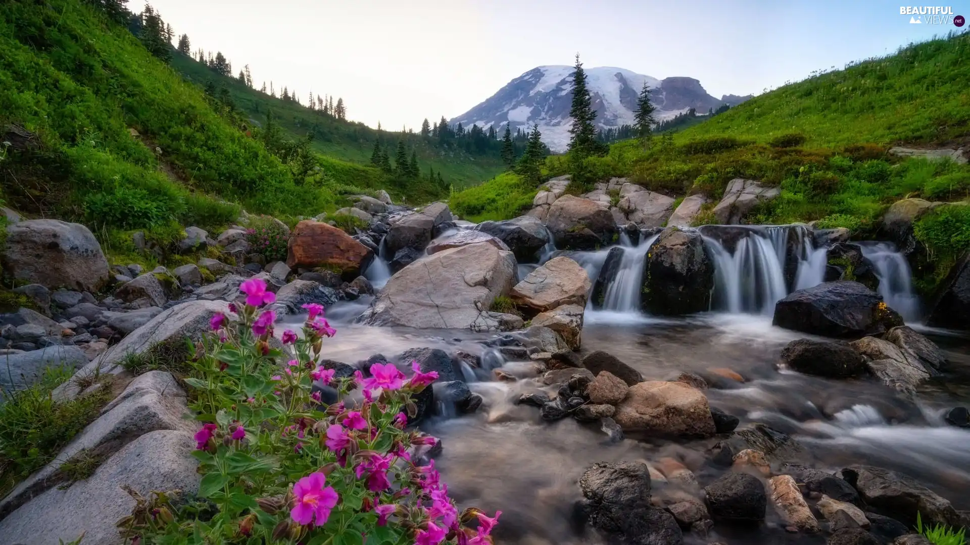 stream, Mountains, Stones, Flowers, cascade, The Hills