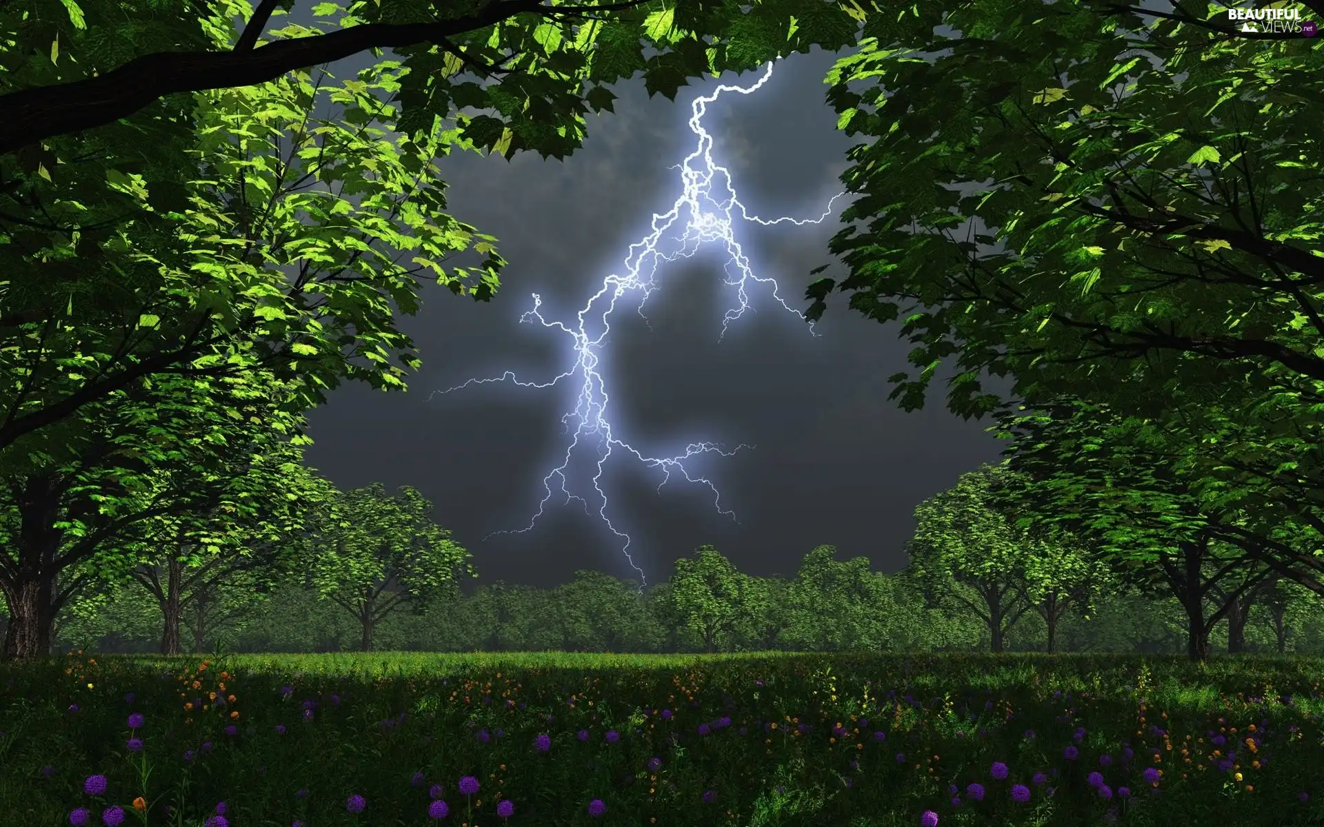 Storm, viewes, Flowers, trees