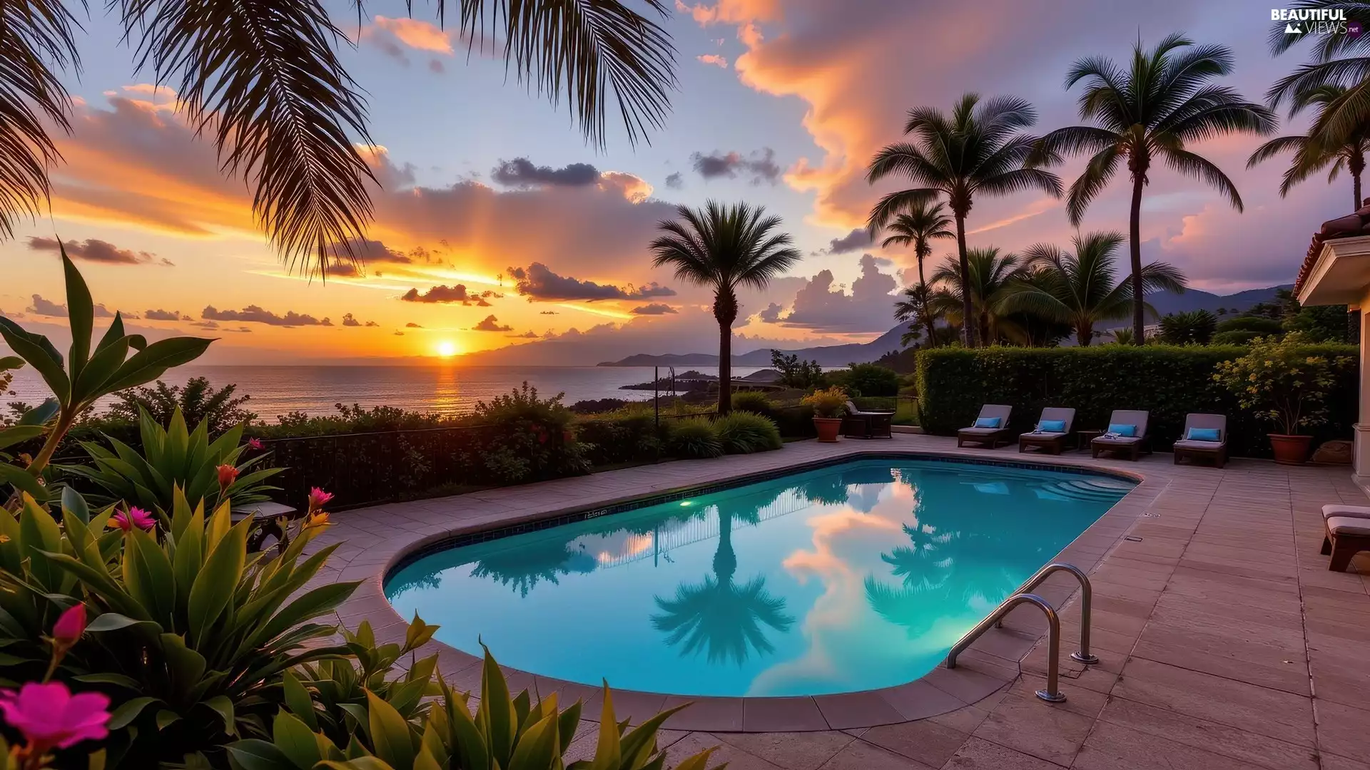 Flowers, Garden, sea, Palms, Pool, Great Sunsets, deck chair