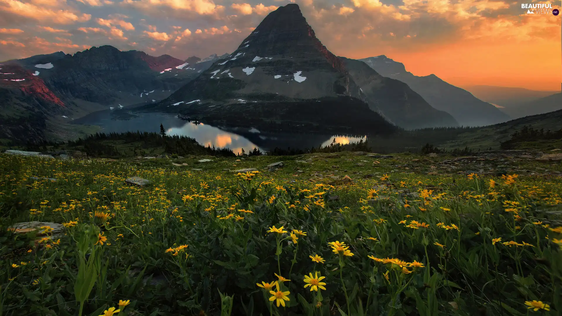 lake, Mountains, Yellow, Flowers, Meadow, Great Sunsets