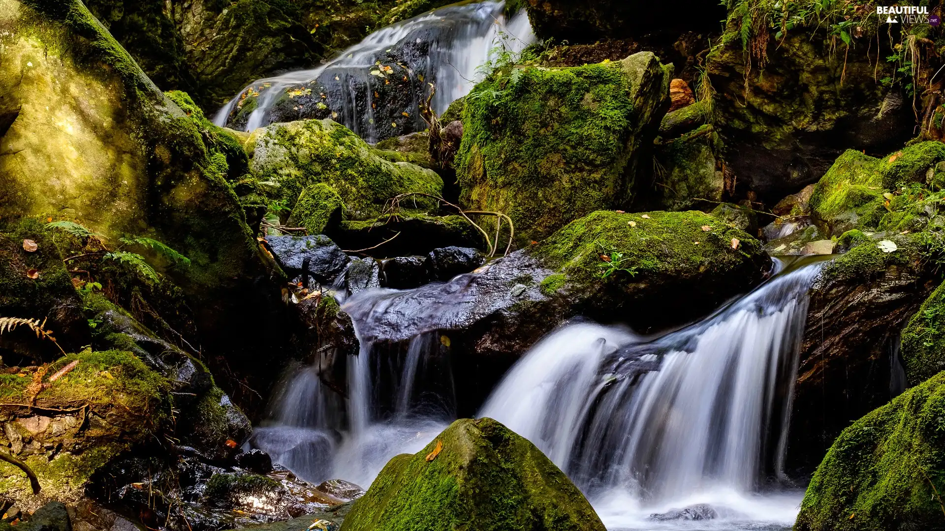 River, mossy, rocks, flux