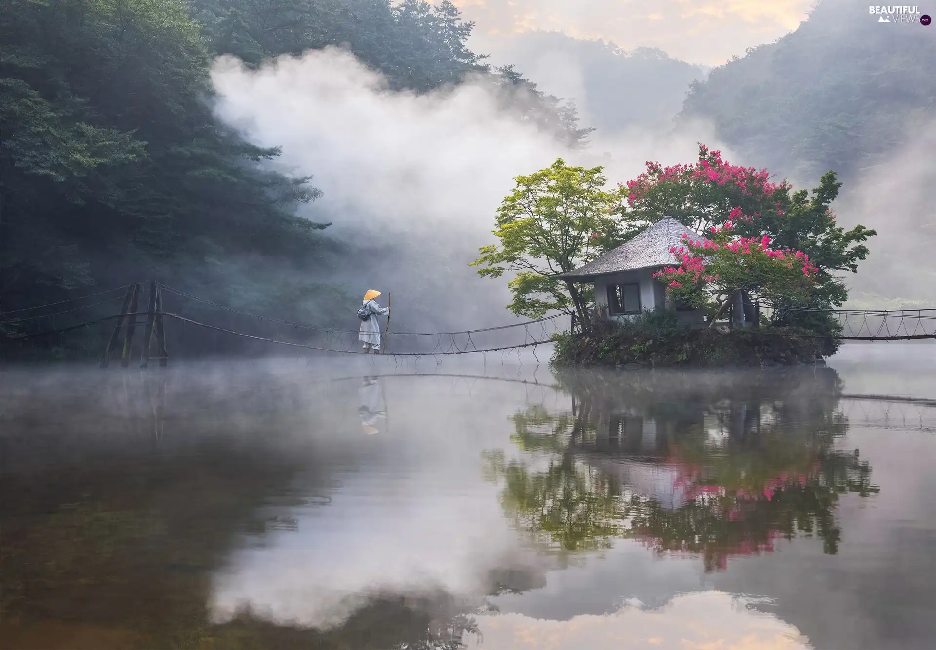 Human, River, house, Fog, wanderer, bridge