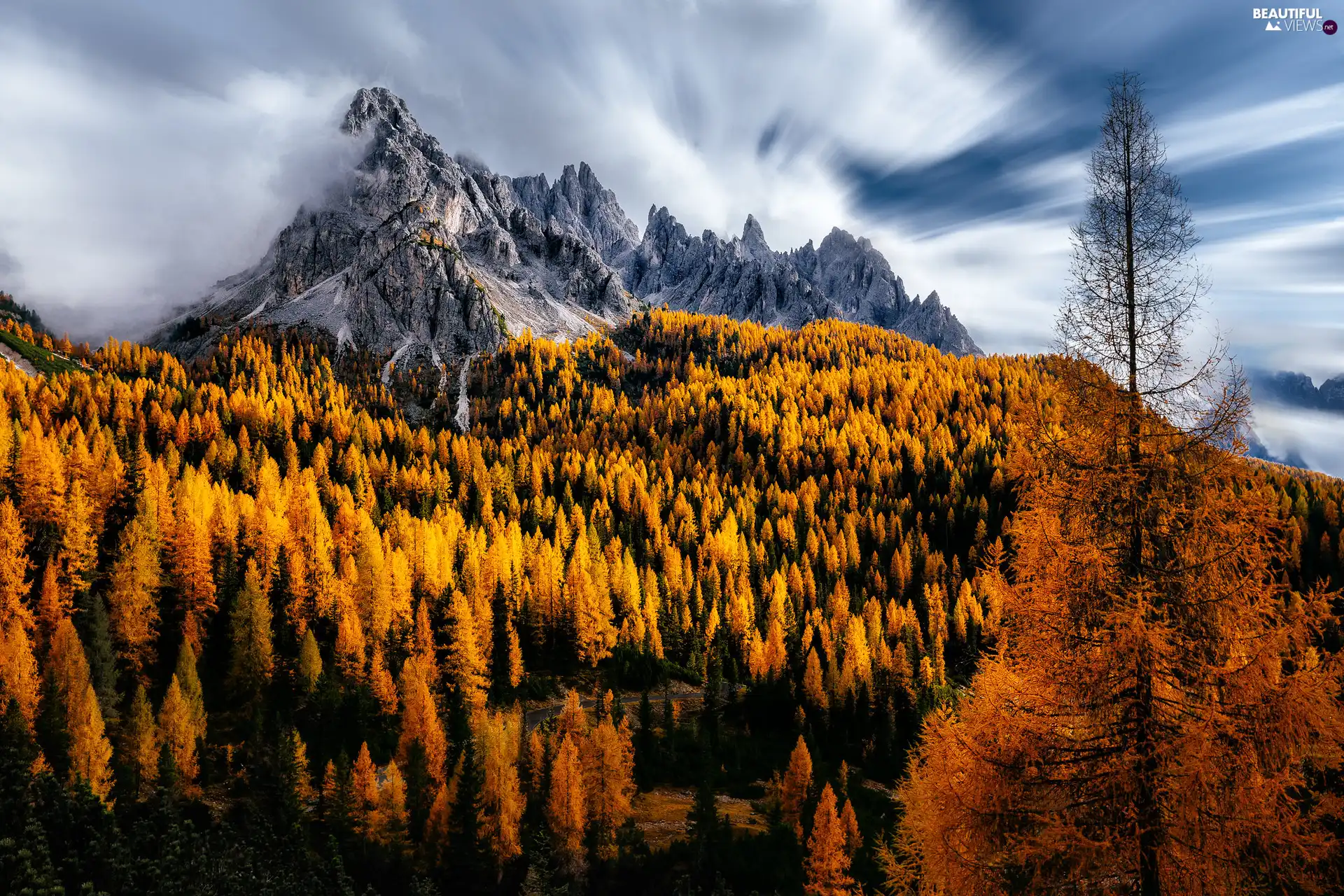 trees, Mountains, Dolomites, Fog, autumn, viewes, Italy