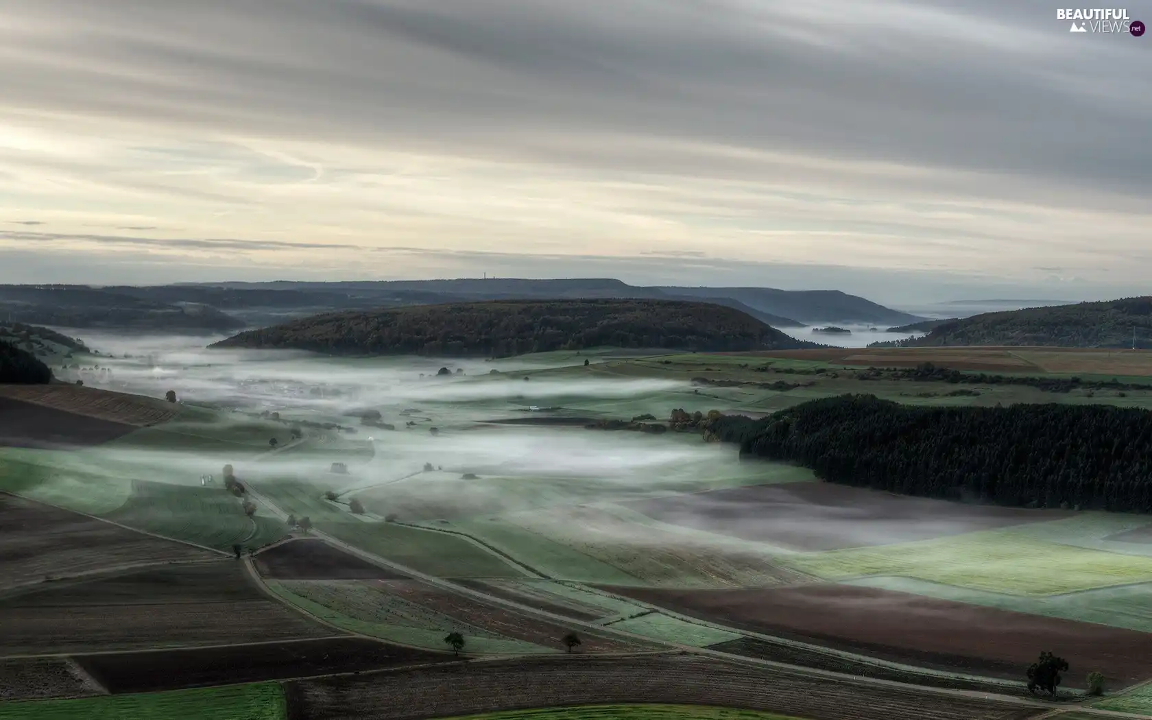 field, Fog