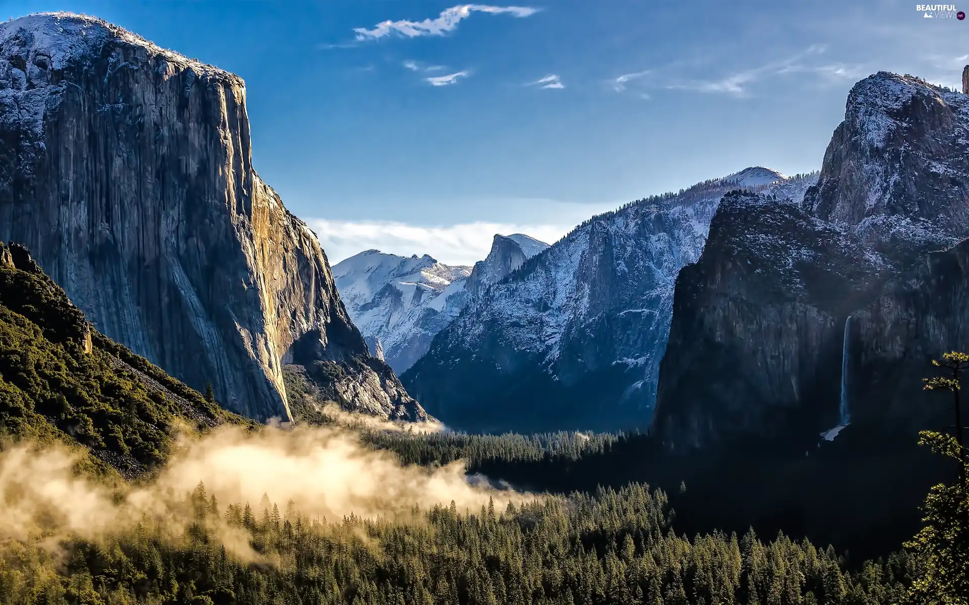 Fog, Mountains, forest