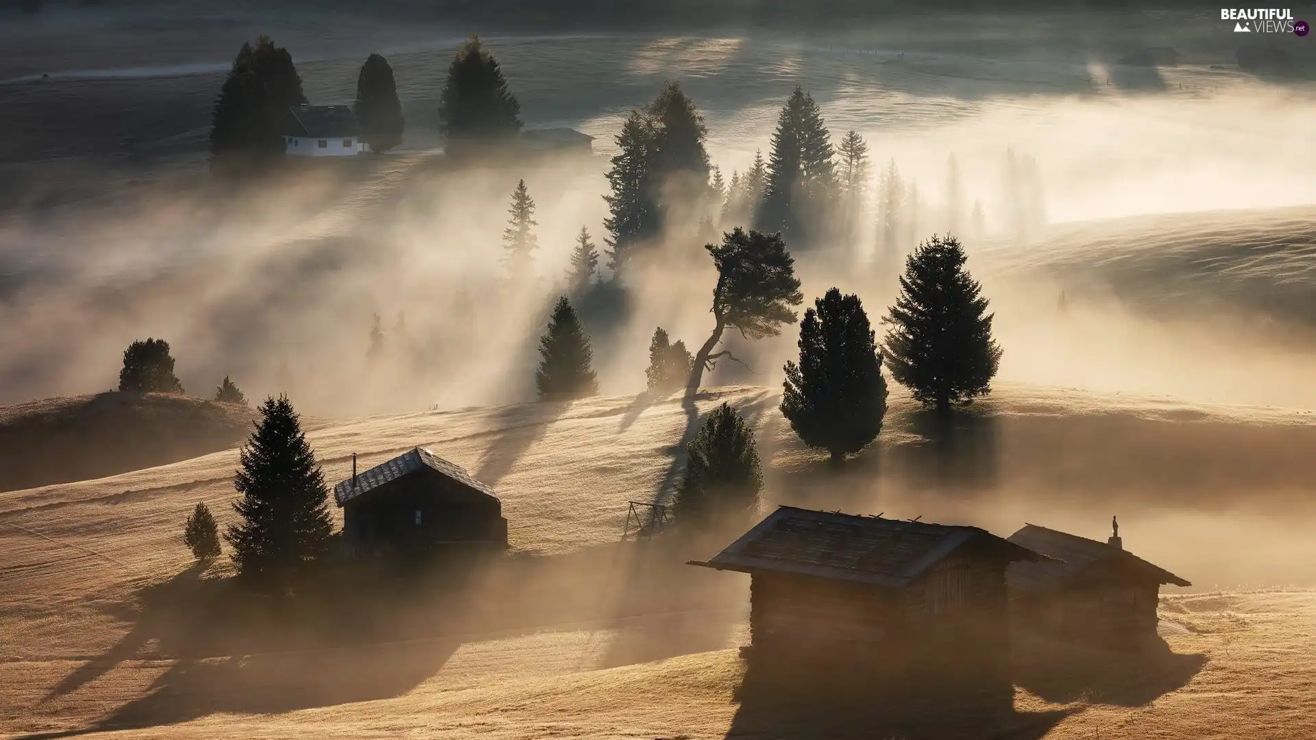 viewes, Fog, Houses, trees, wood