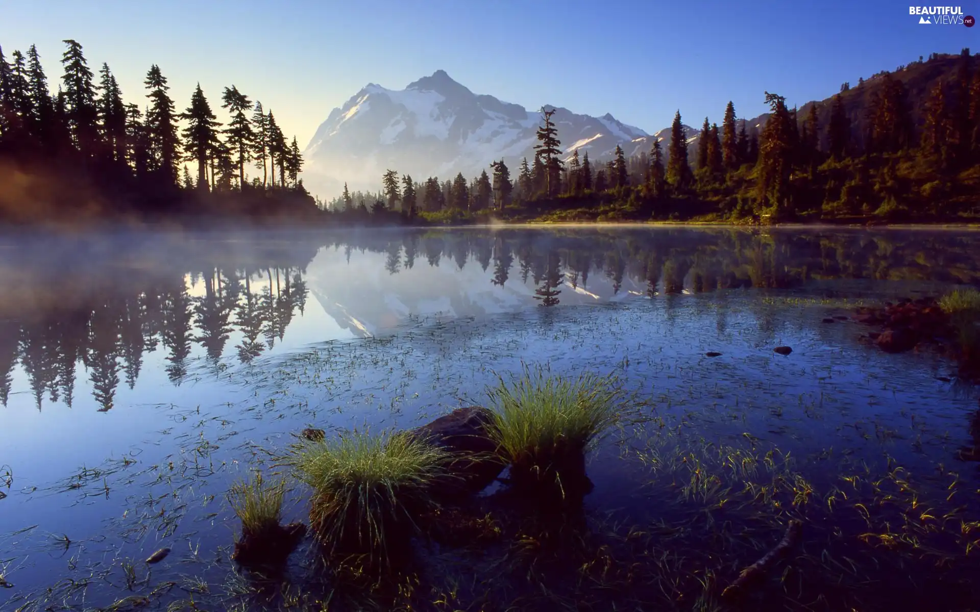 lake, Mountains, Fog, forest