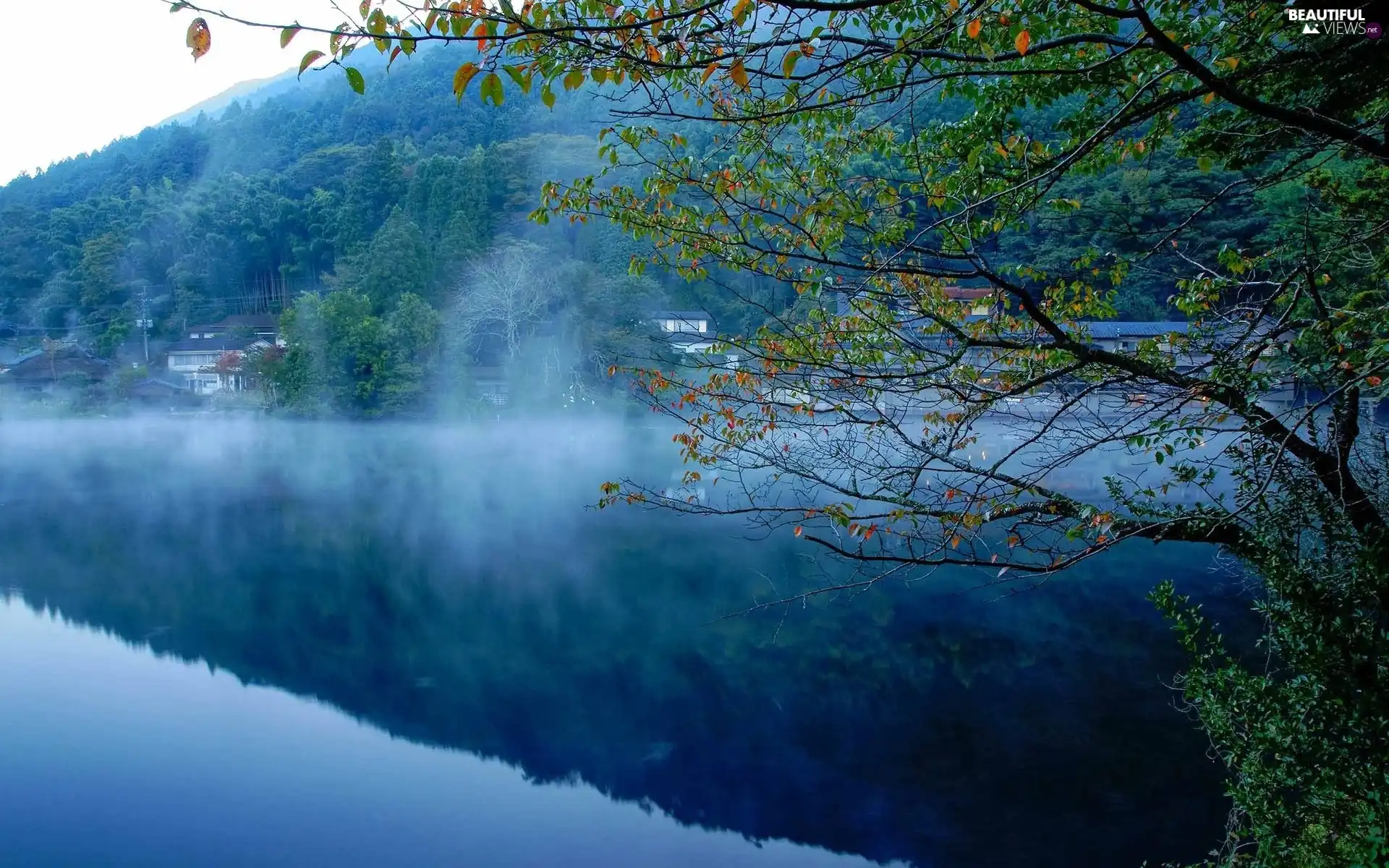 lake, woods, Fog, Mountains