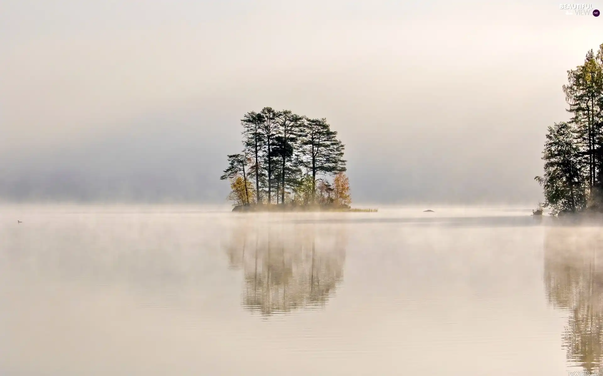 lake, Fog